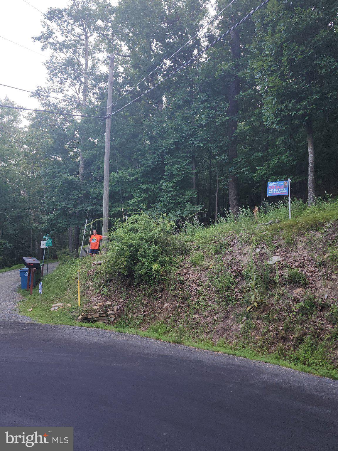 BULL RUN MOUNTAIN ESTATE - Land