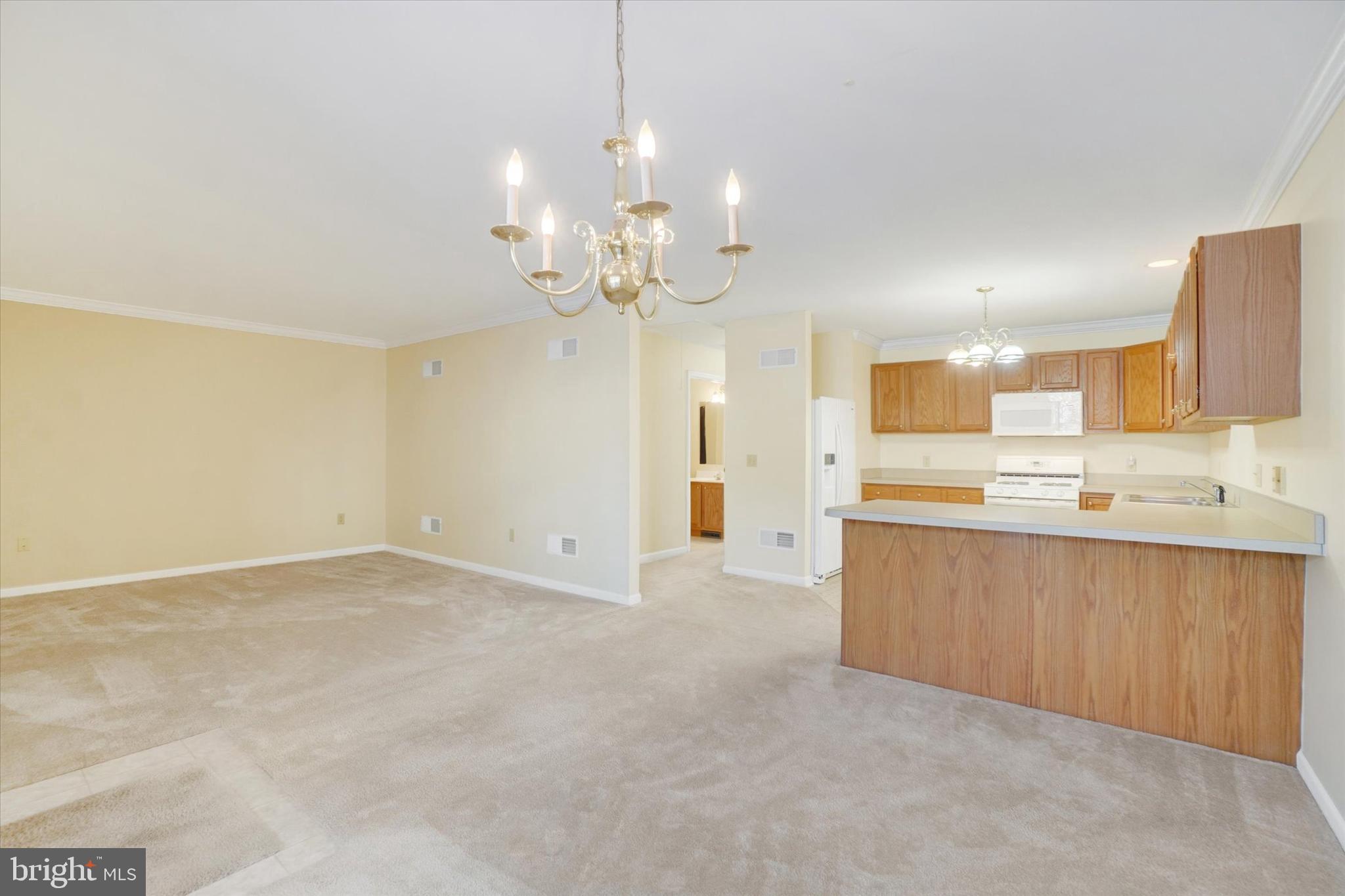 EQUINE MEADOWS - Residential