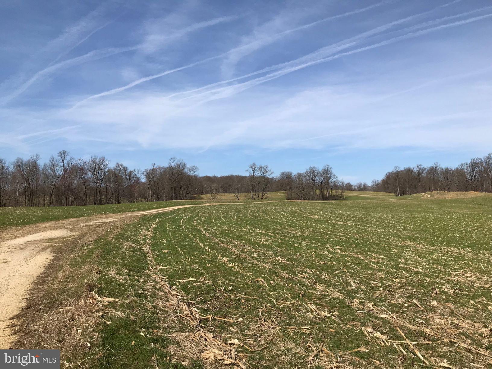 UPPER MARLBORO - Land