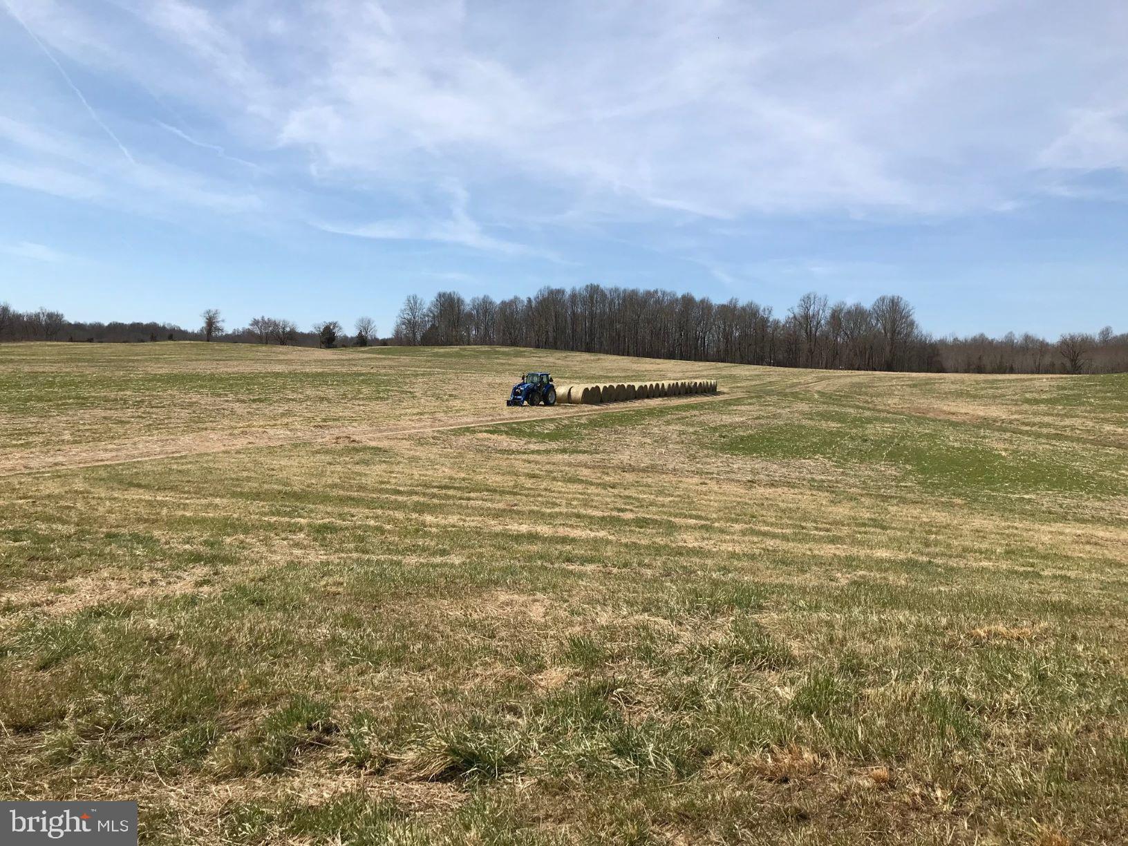 UPPER MARLBORO - Land