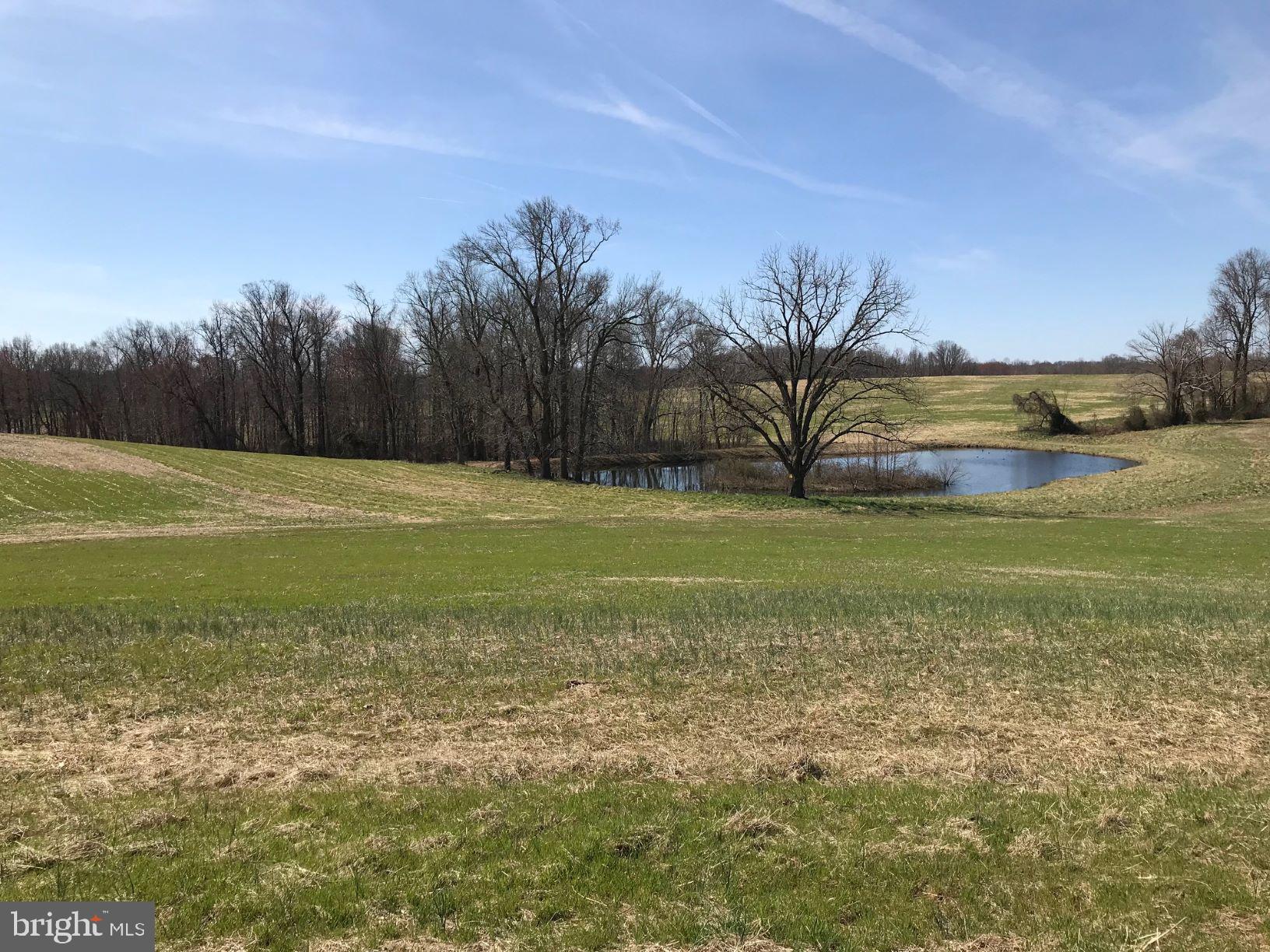 UPPER MARLBORO - Land