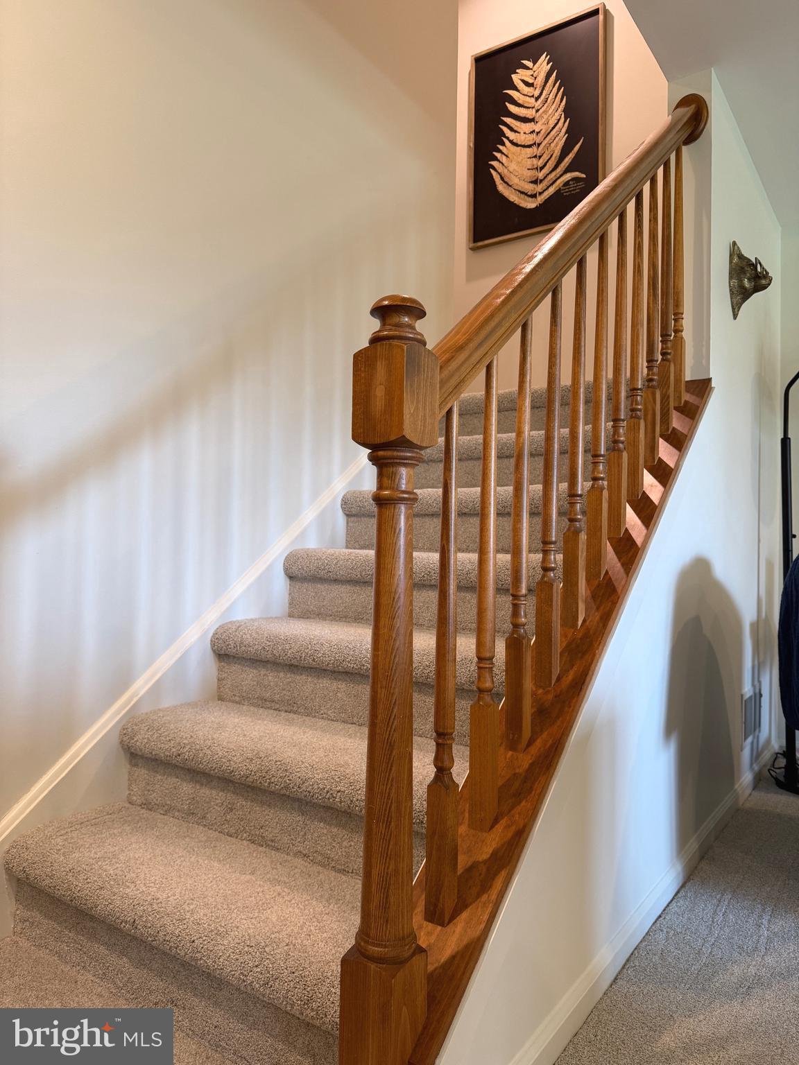 SUMMERFIELD AT ELVERSON - Residential