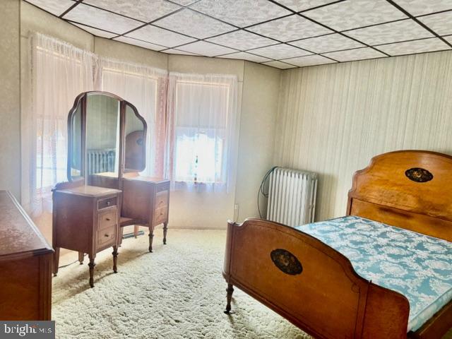 SHENANDOAH HEIGHTS - Residential