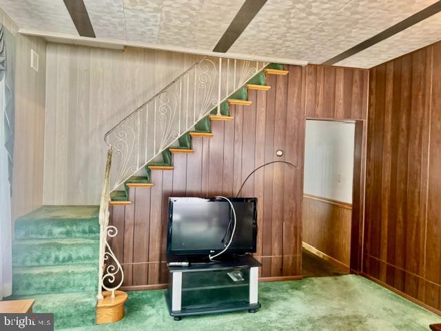 SHENANDOAH HEIGHTS - Residential