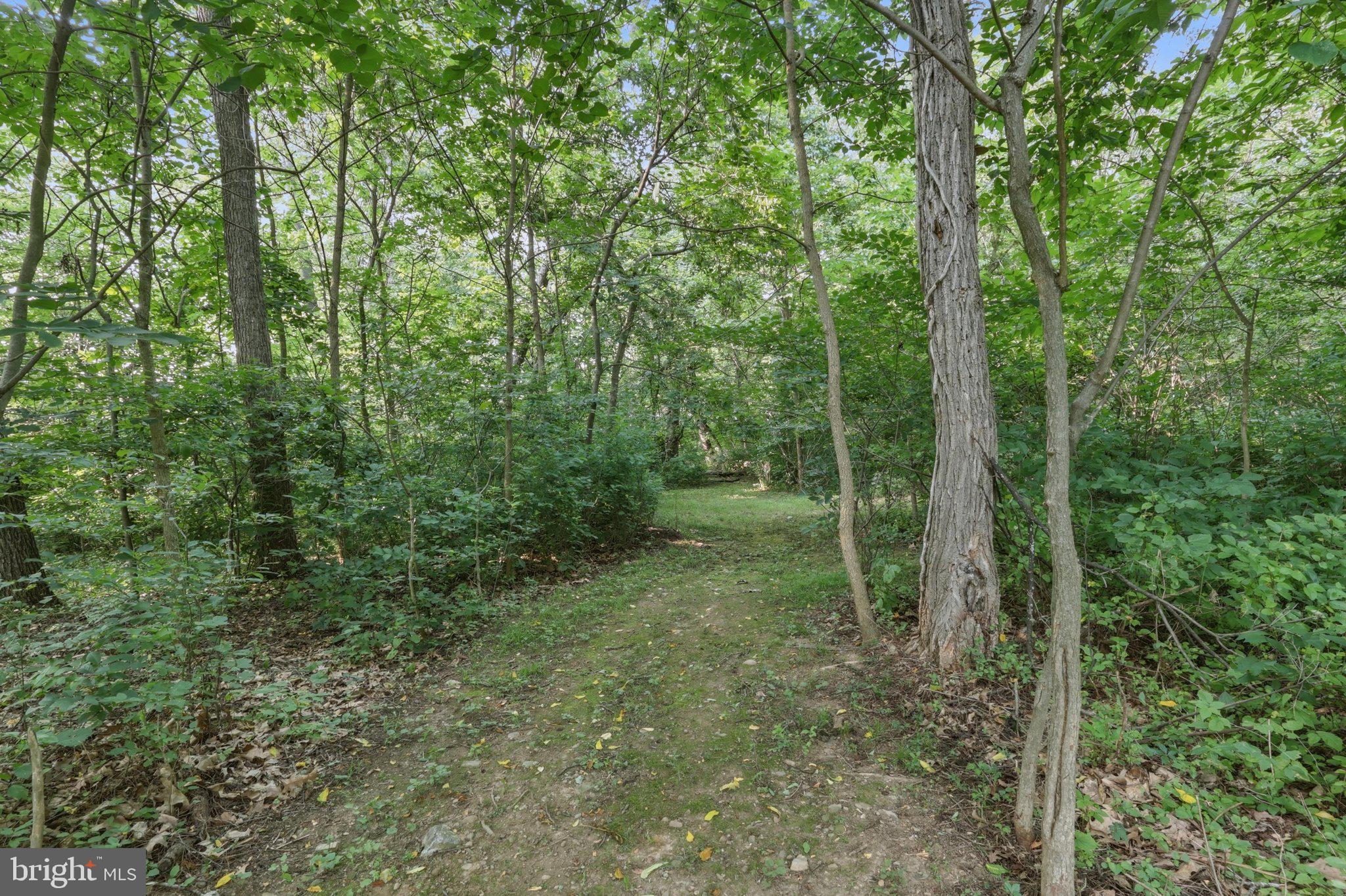 MARLOWE WOODS - Residential