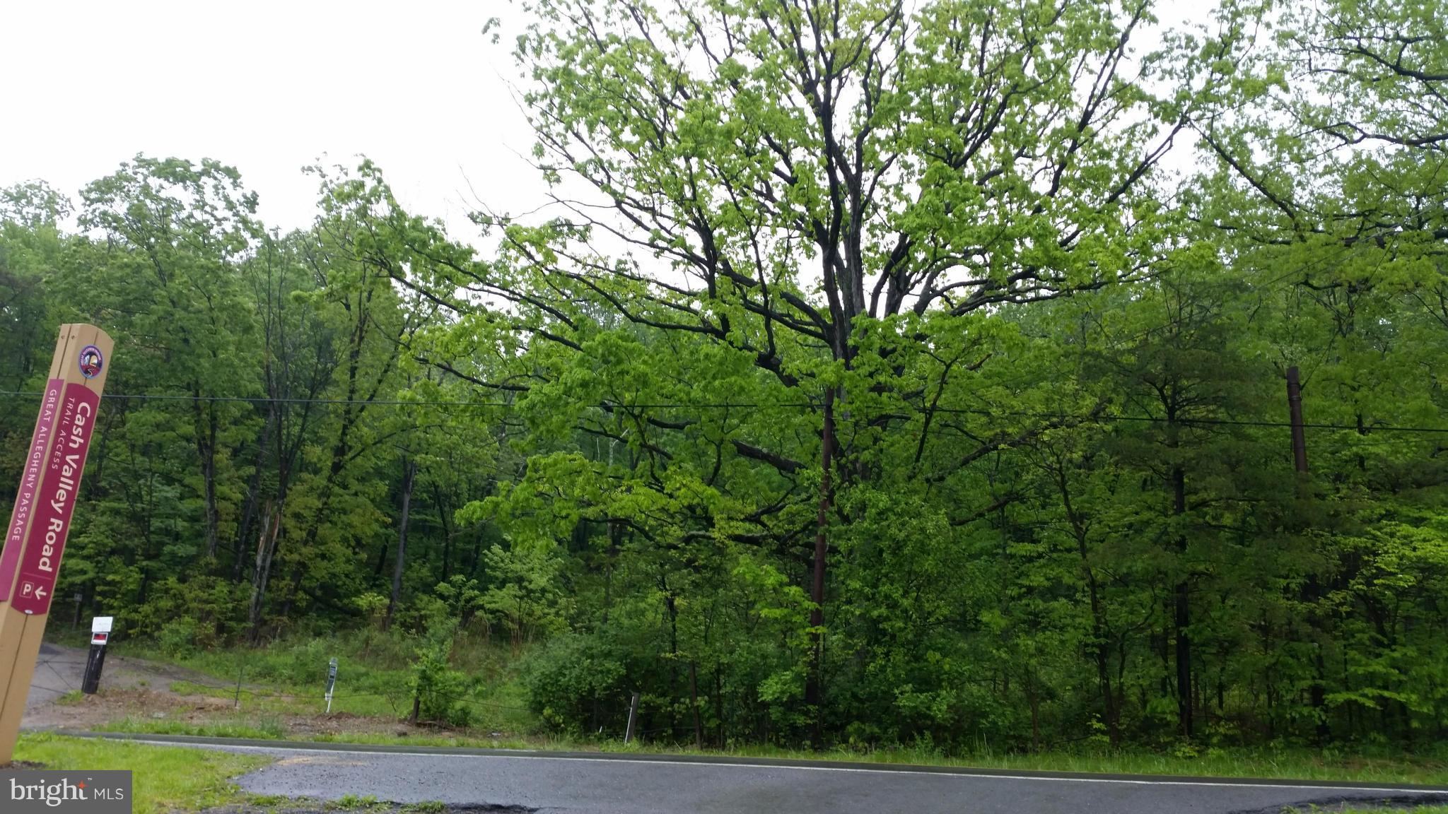 Almost 6A waiting for your imagination, build your dream home here!
