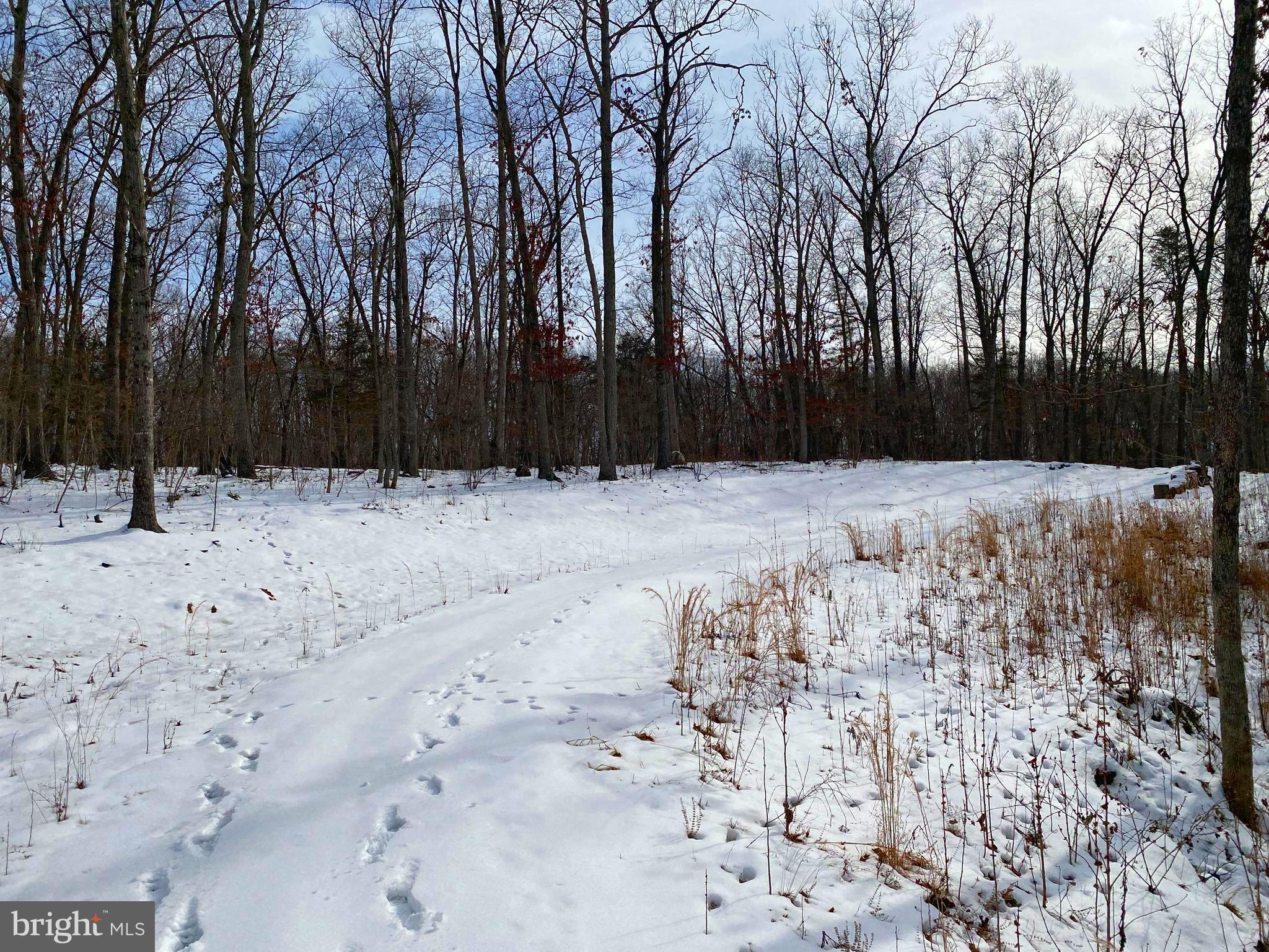 RIVER RIDGE ON THE SHENANDOAH - Land