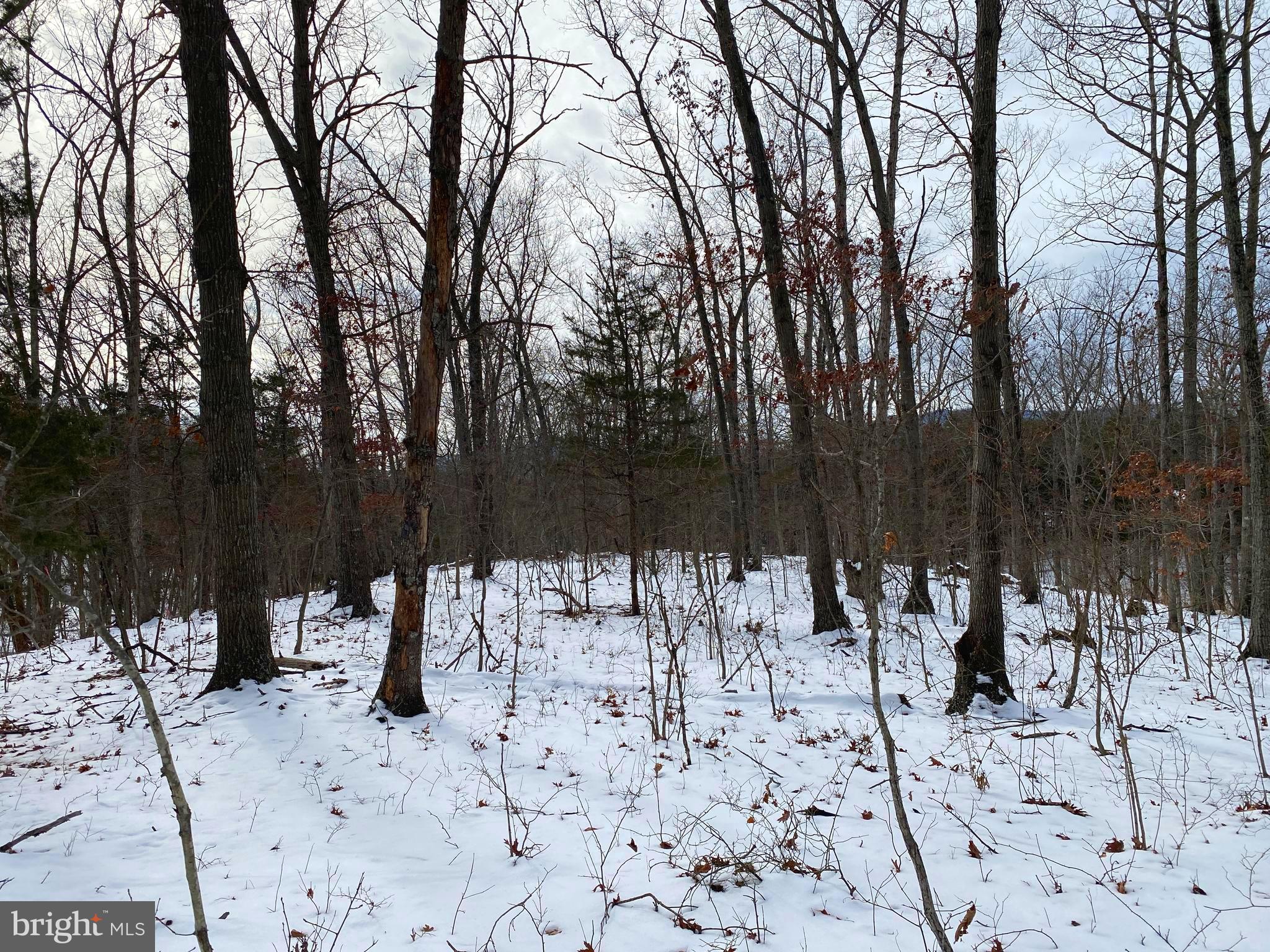 RIVER RIDGE ON THE SHENANDOAH - Land