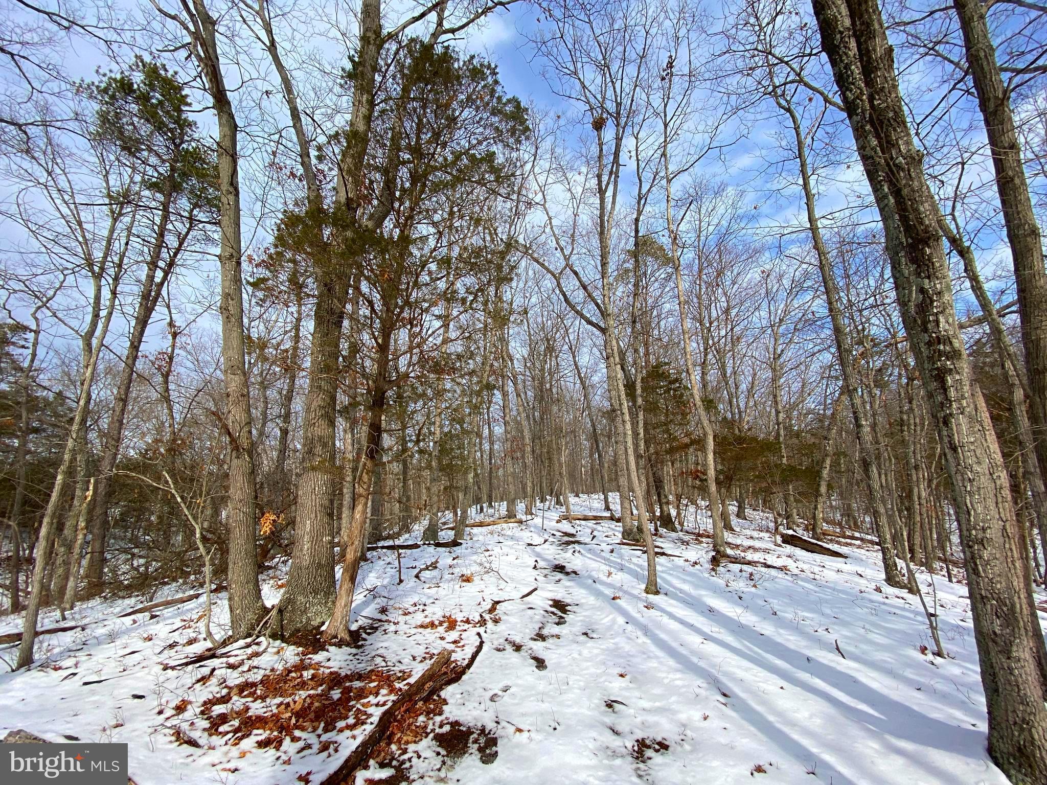 RIVER RIDGE ON THE SHENANDOAH - Land