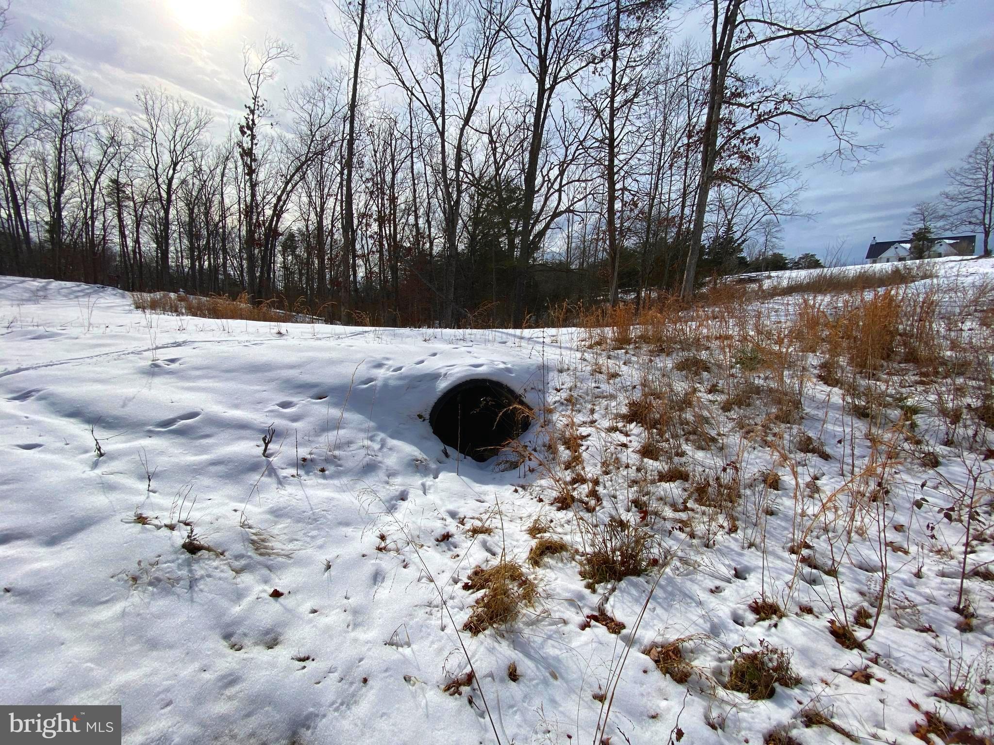 RIVER RIDGE ON THE SHENANDOAH - Land