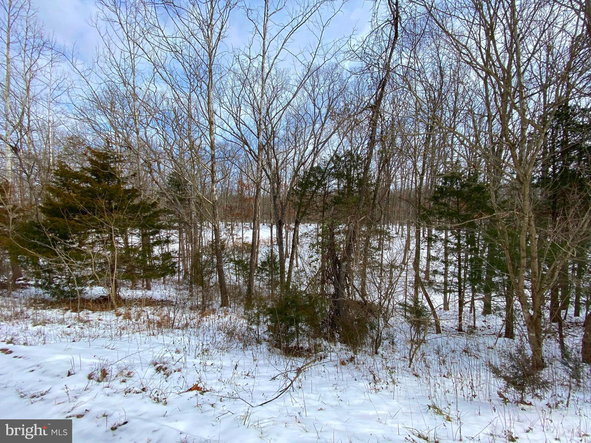 RIVER RIDGE ON THE SHENANDOAH - Land