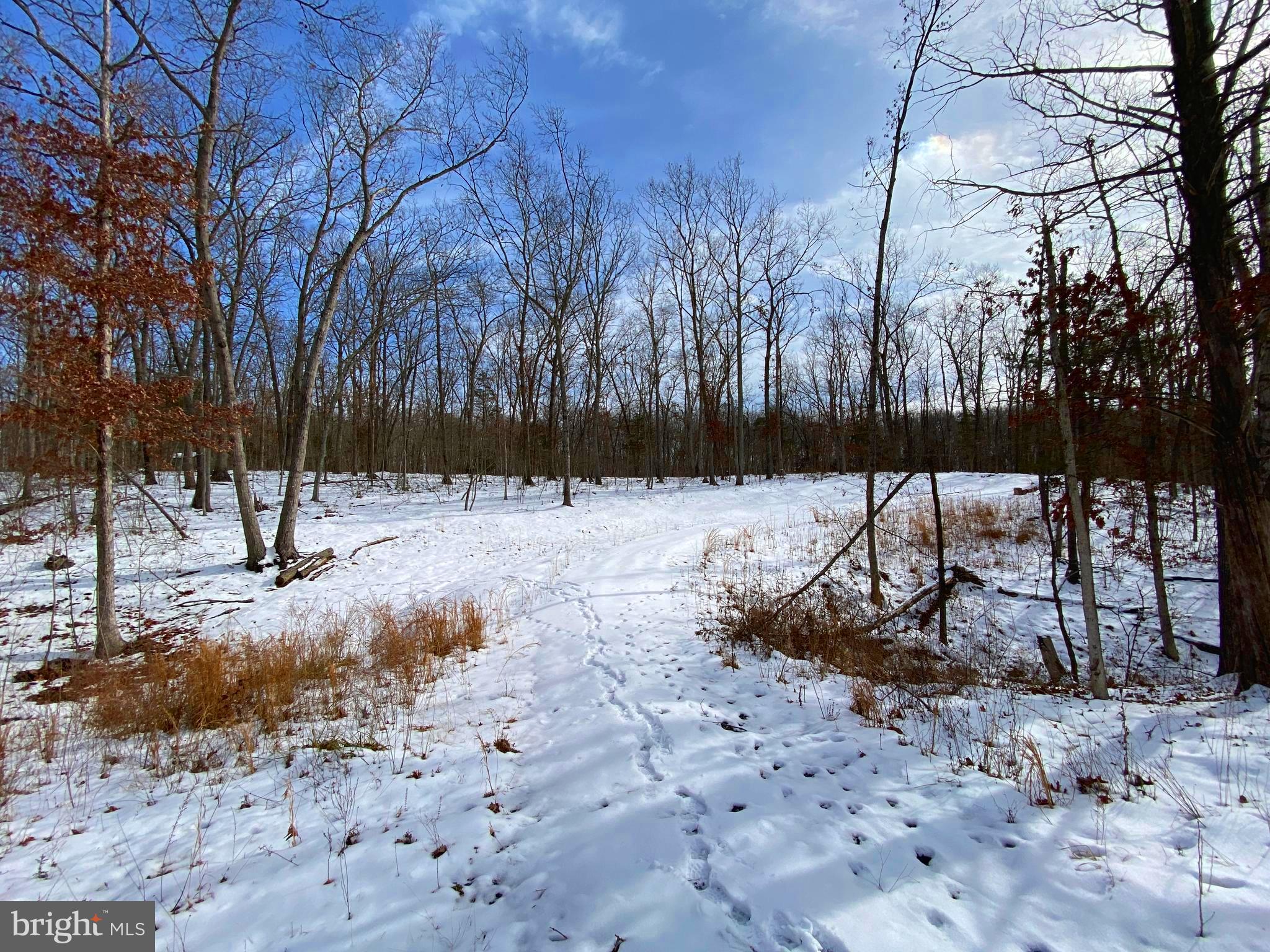 RIVER RIDGE ON THE SHENANDOAH - Land