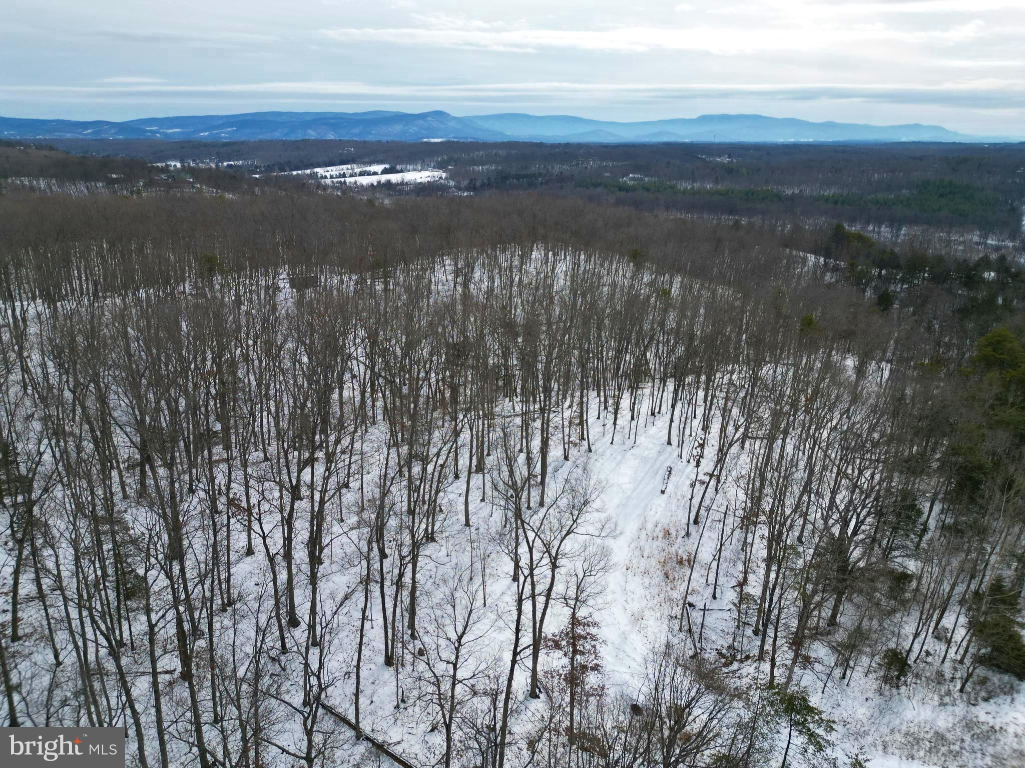 RIVER RIDGE ON THE SHENANDOAH - Land