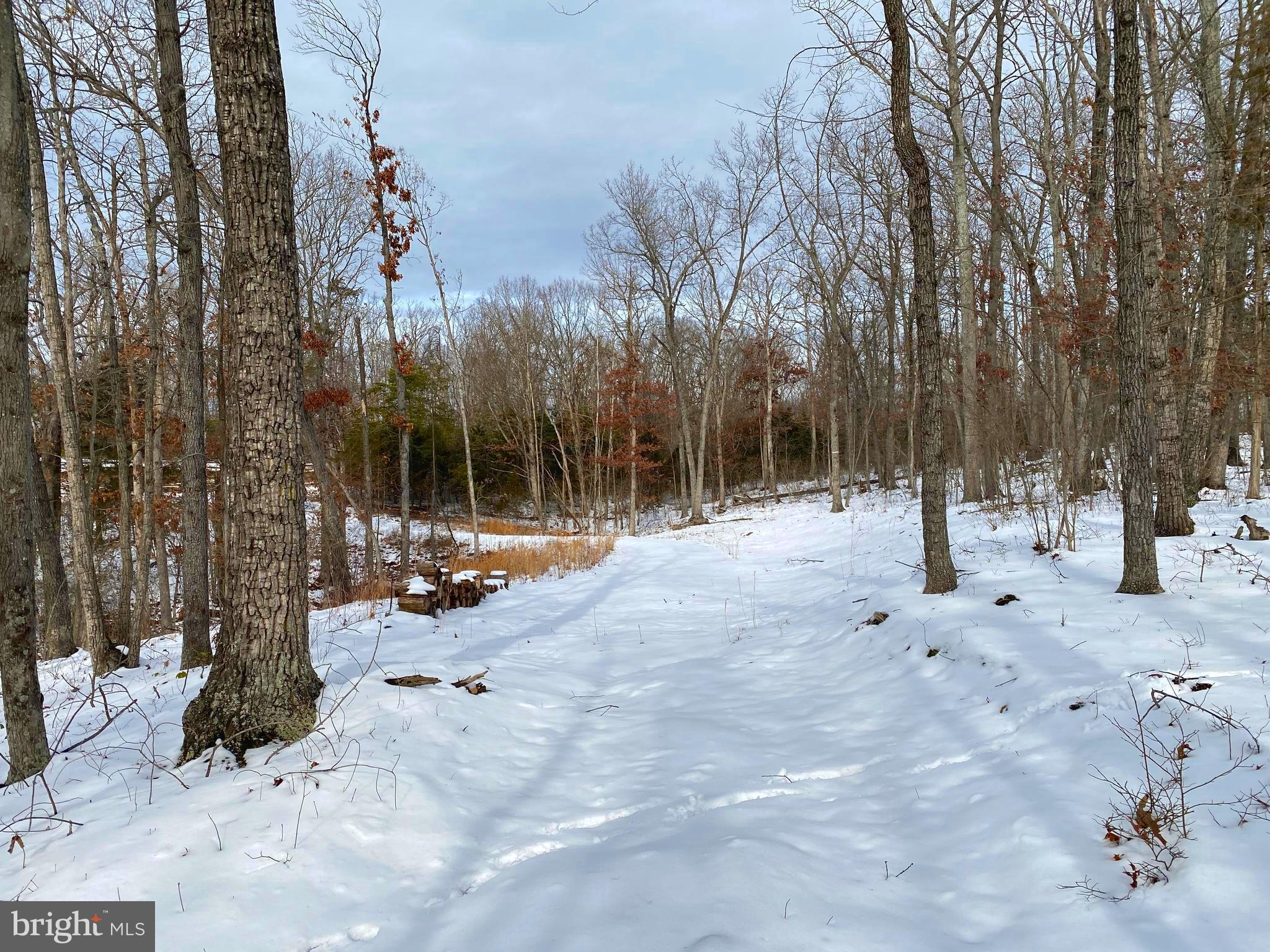 RIVER RIDGE ON THE SHENANDOAH - Land