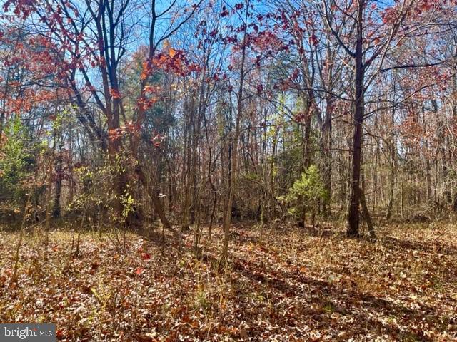 EGYPT BEND ESTATES - Land