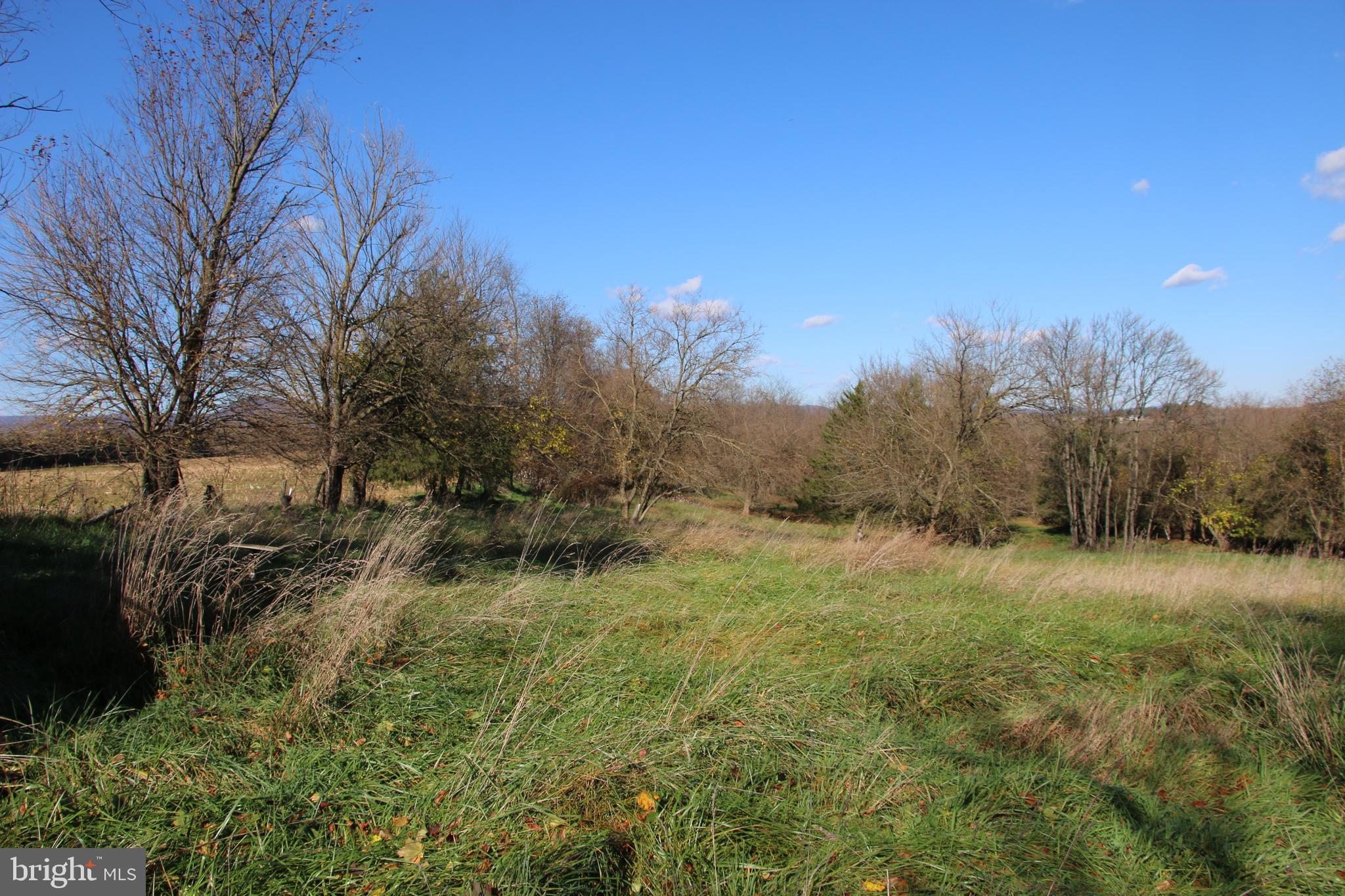 Land with features like this won’t last long! Located along Eden Road near the eastern town limits of Luray.  Access into this premier parcel is secured via road frontage on paved Eden Road. There’s no need to go to the expense of drilling a well and installing a costly septic system as public hookups for water and sewer are available for this prime lot. This stellar property is a mix of open and wooded acreage. Magnificent mountain views of the Shenandoah National Park can be seen year round. Terrific location for the country home you’ve always wanted. Utilities are close by making for easy and affordable connections. The gentle topography is builder friendly and makes navigating the property easy and enjoyable. This land is zoned R2 and there is no HOA.