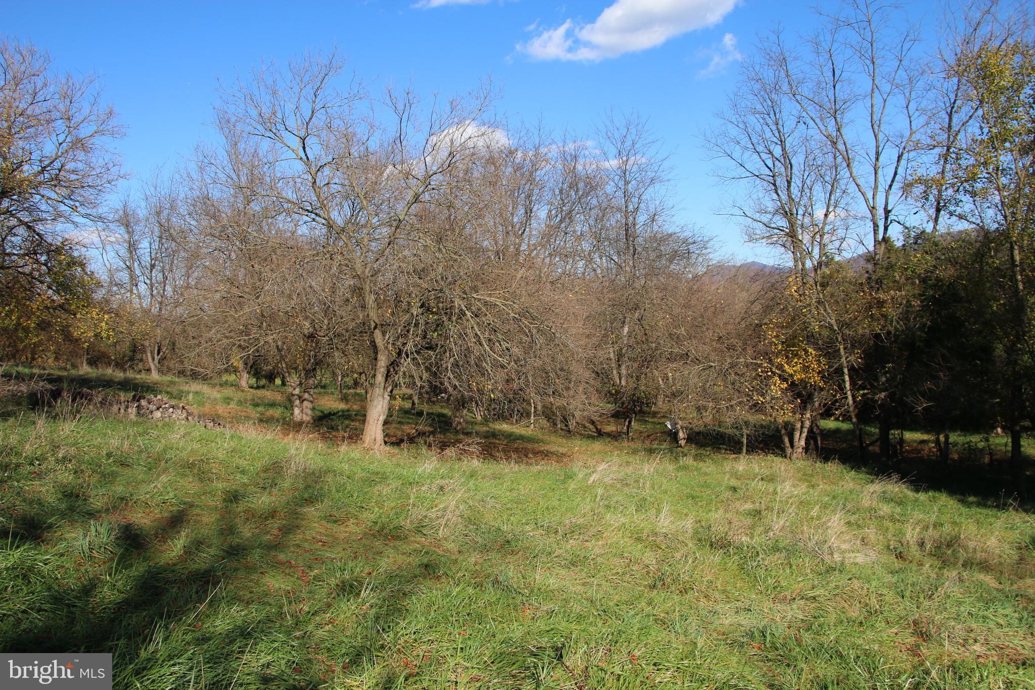 CEDAR KNOLL - Land