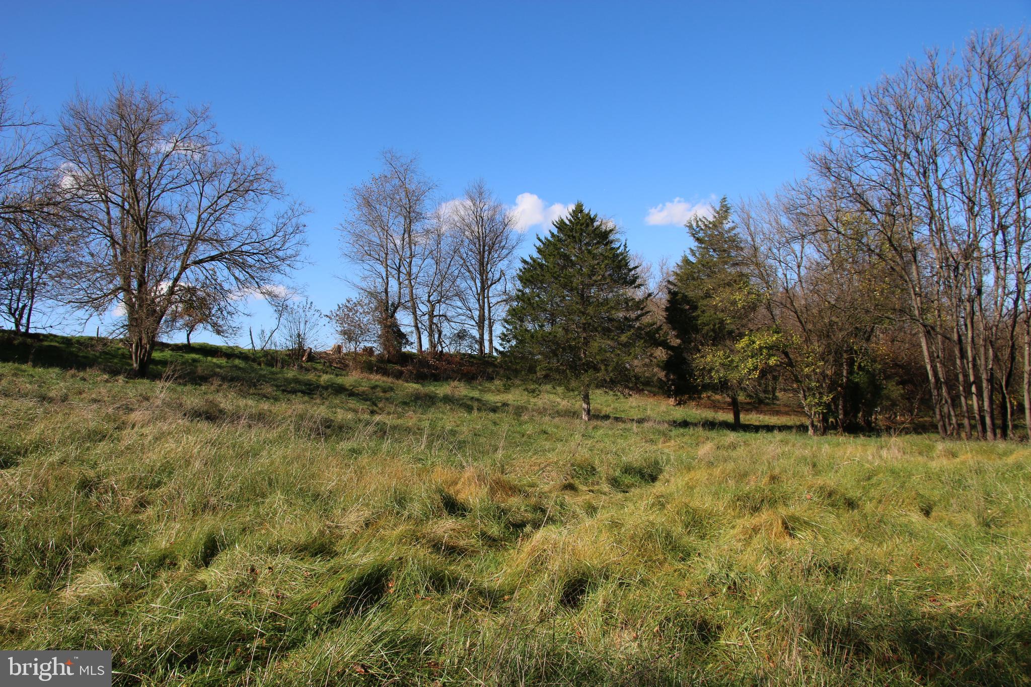 CEDAR KNOLL - Land