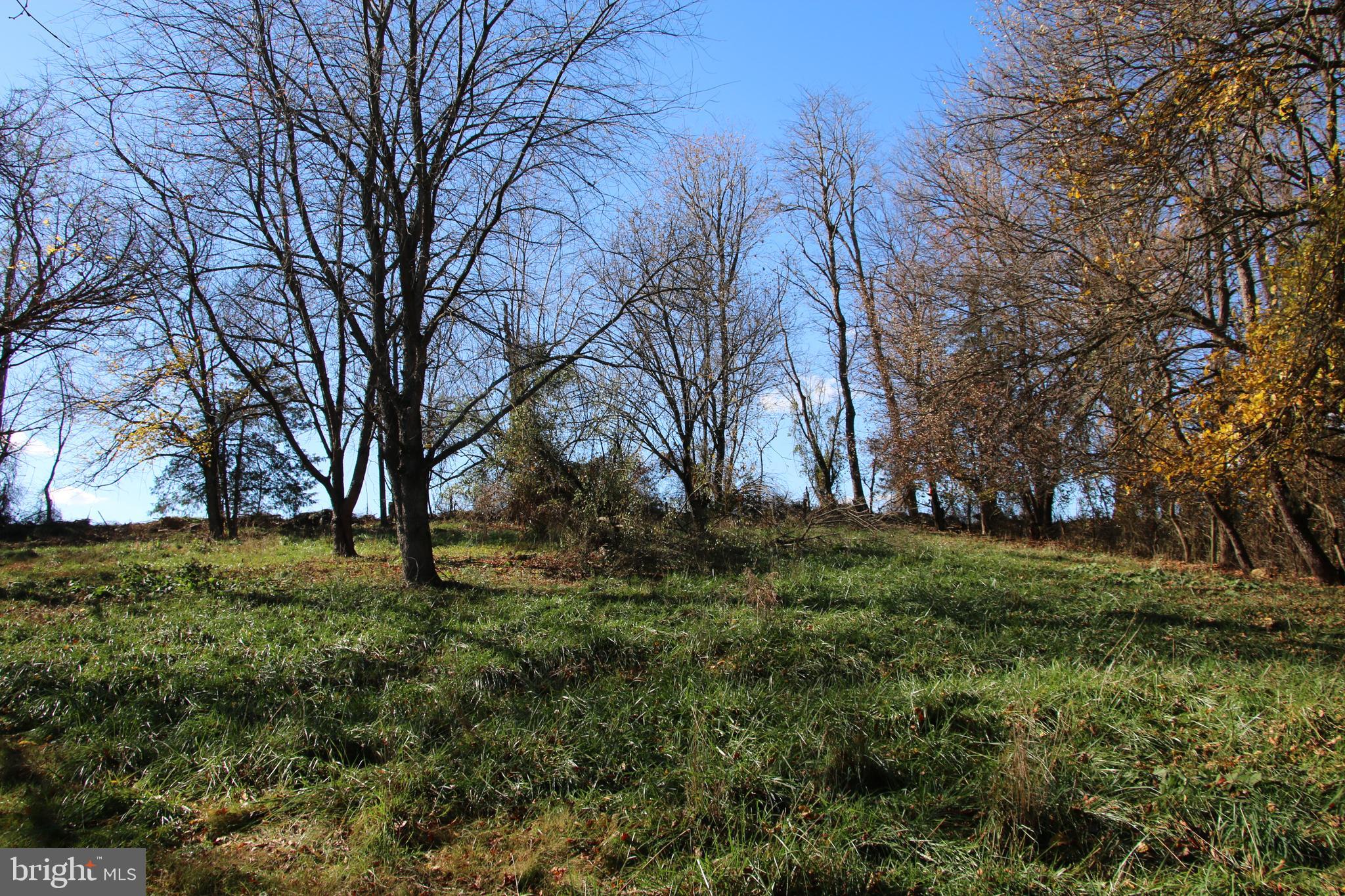 CEDAR KNOLL - Land