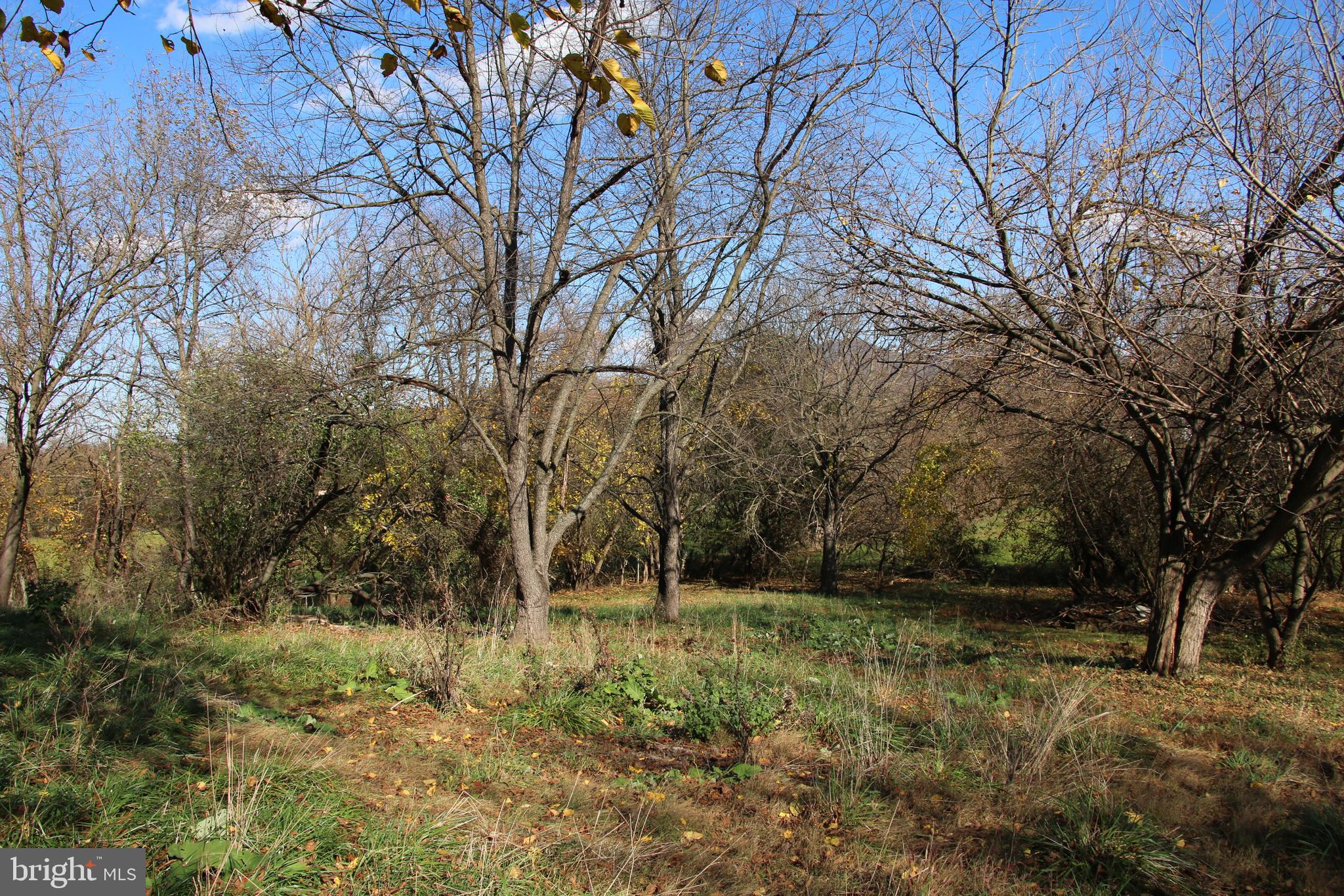 CEDAR KNOLL - Land