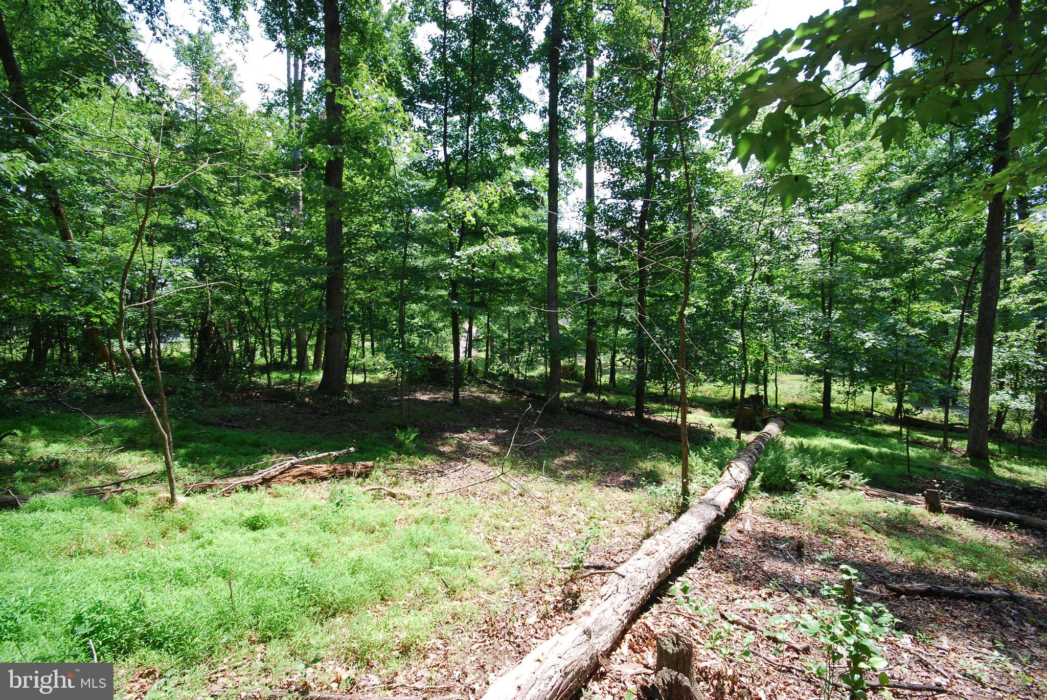 SLEEPY HOLLOW SUBDIVISION - Land