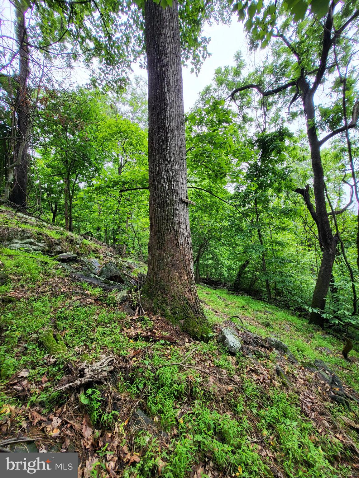 SLEEPY HOLLOW SUBDIVISION - Land