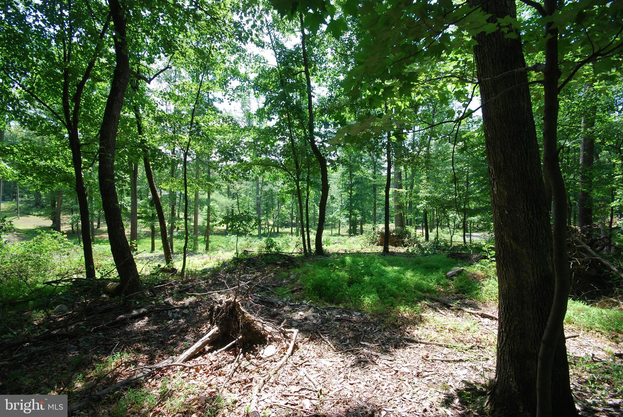 SLEEPY HOLLOW SUBDIVISION - Land