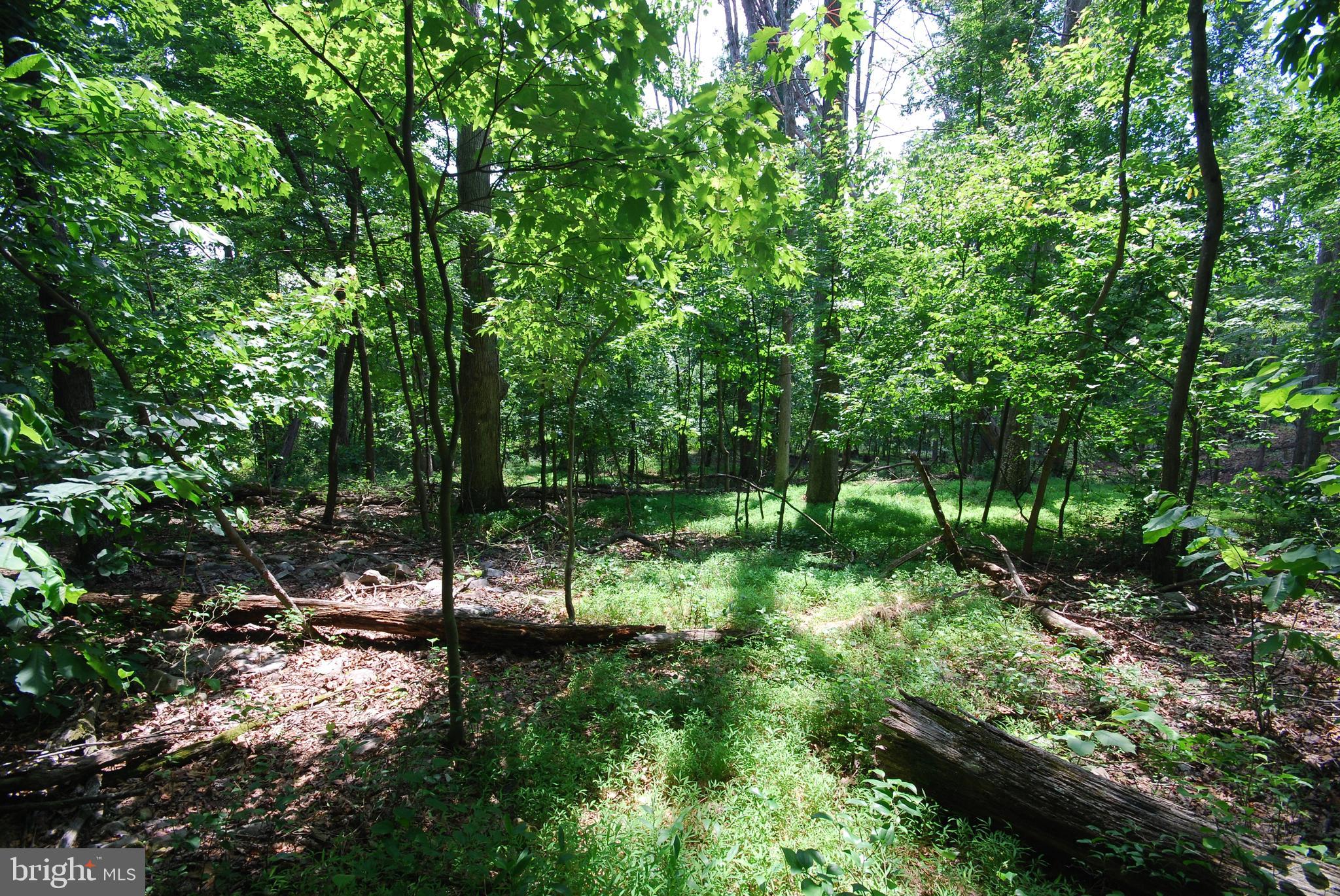 SLEEPY HOLLOW SUBDIVISION - Land