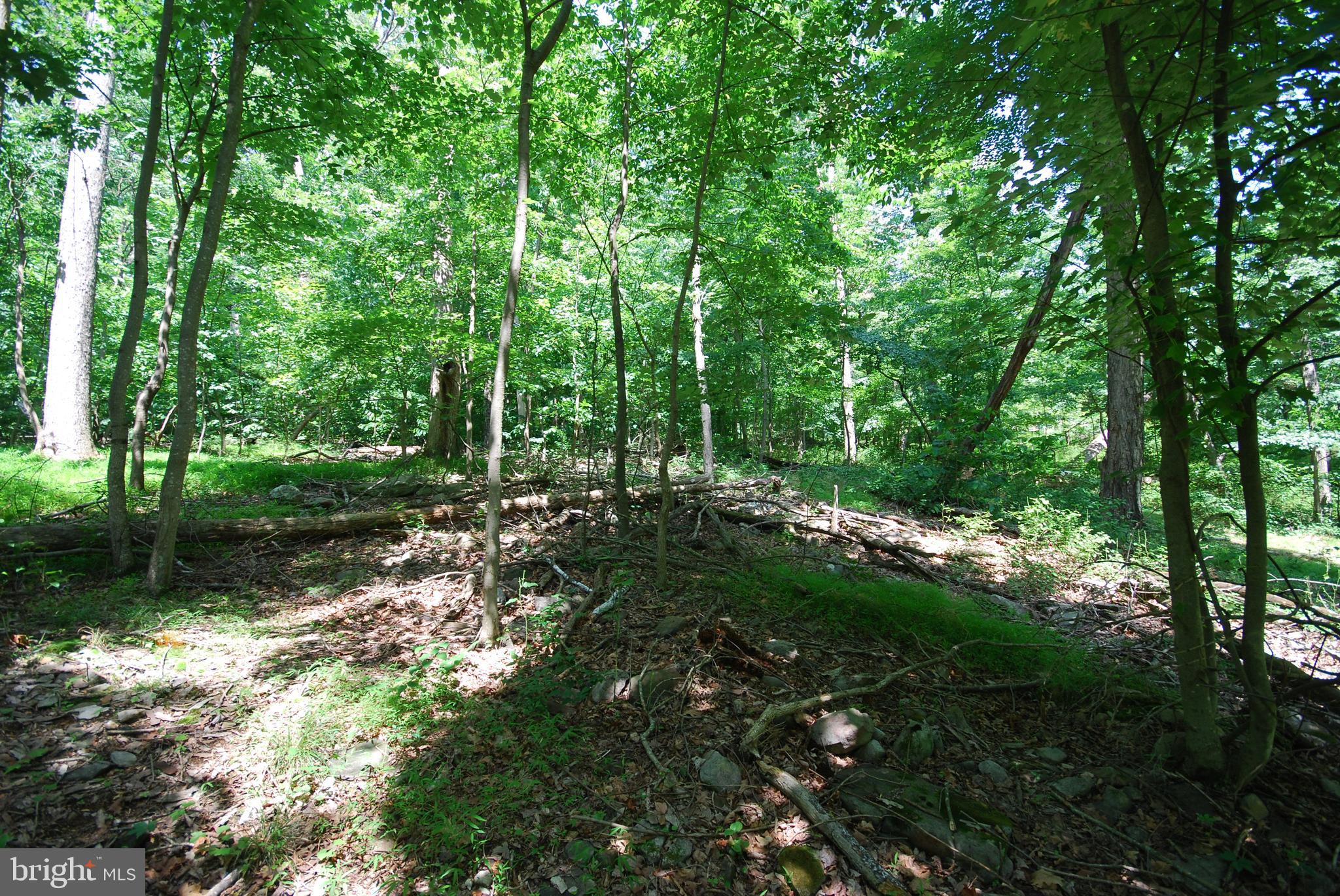 SLEEPY HOLLOW SUBDIVISION - Land