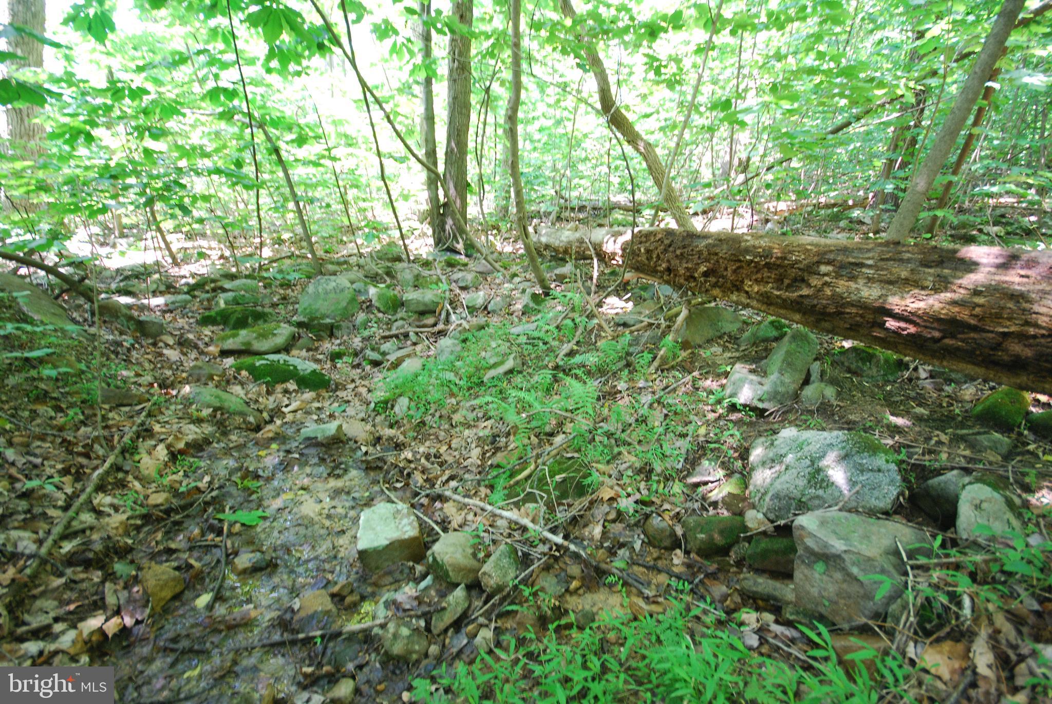 SLEEPY HOLLOW SUBDIVISION - Land