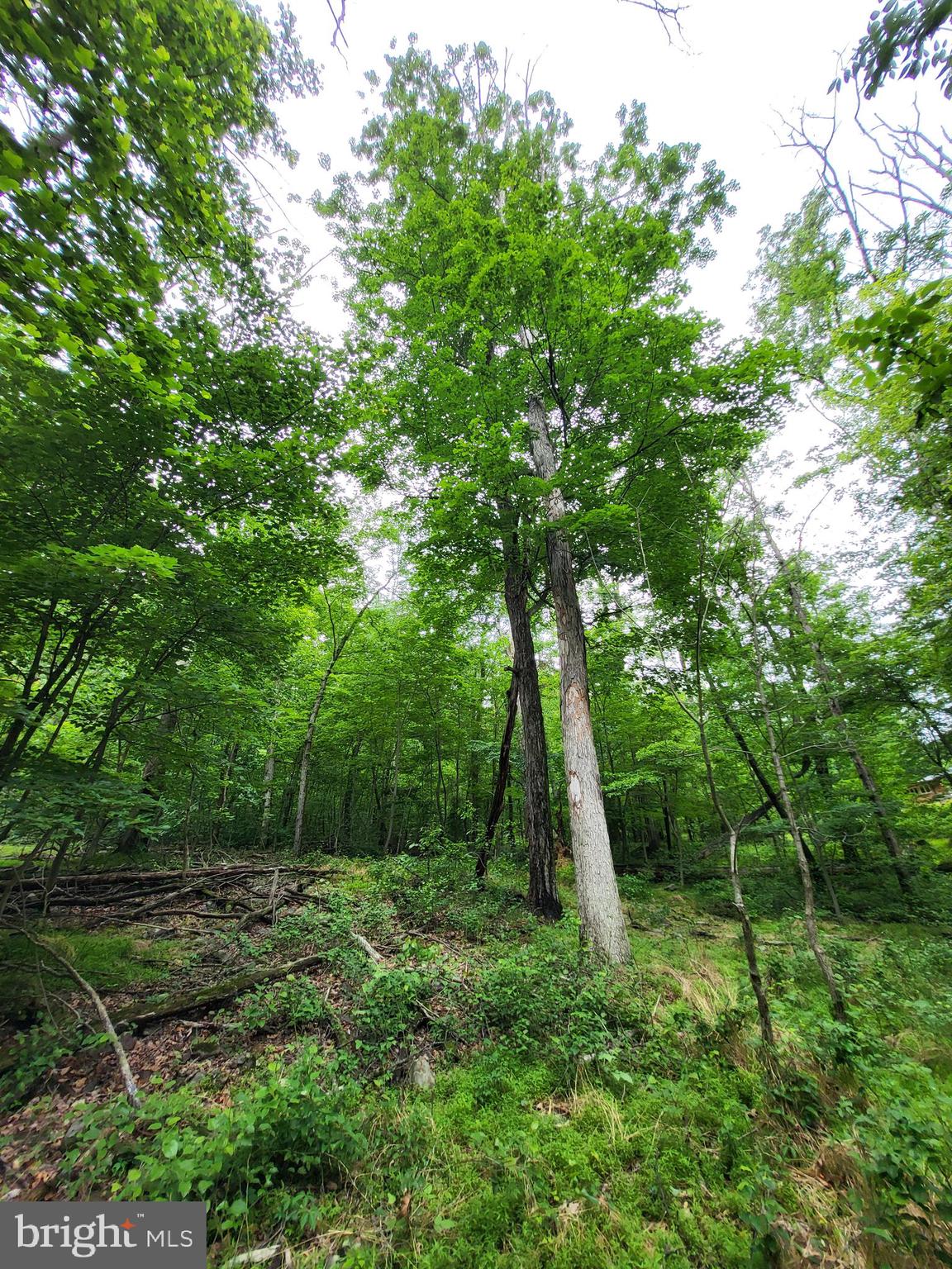SLEEPY HOLLOW SUBDIVISION - Land