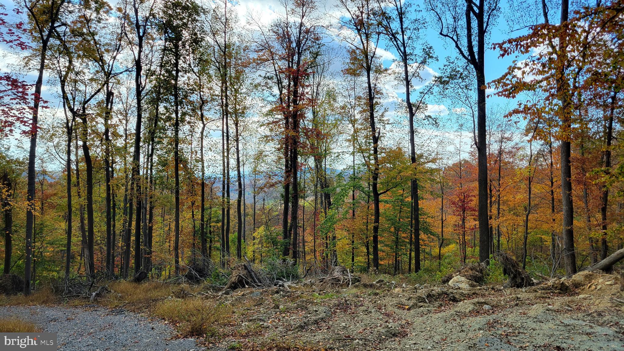 Beautifully wooded 36-acre property comprised of two adjoining parcels, perfect for your dream build! Whether you’re into nature walks or hunting, you’ll love the abundant wildlife, with frequent sightings of deer, turkey, foxes, and squirrels. Along with its natural charm, the property is ready for your future home, featuring a well already installed and an approved perc for a 3-bedroom house. A plat outlines the proposed house location and septic area, and the current owner has even prepared suggested house plans for you to consider.