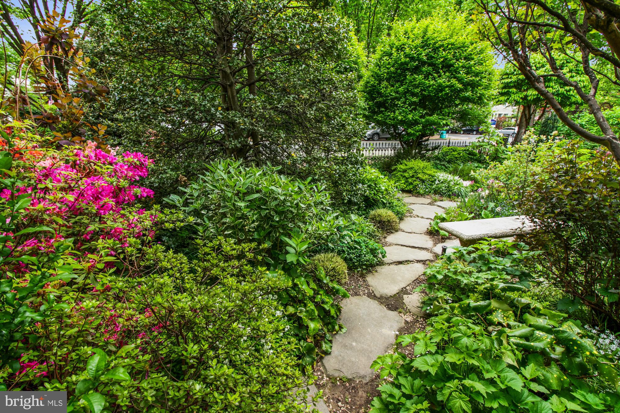 CAPITOL HILL - Residential