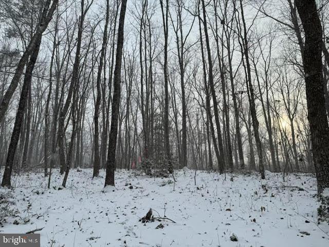 LAKESHORE WOODS - Land