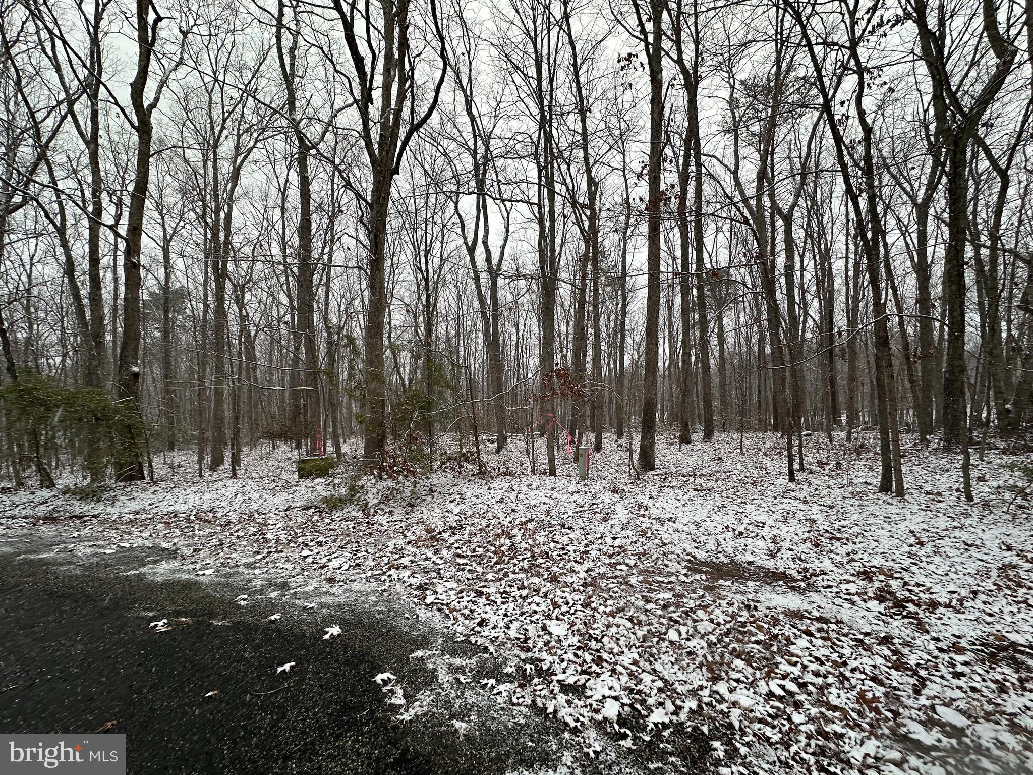 LAKESHORE WOODS - Land