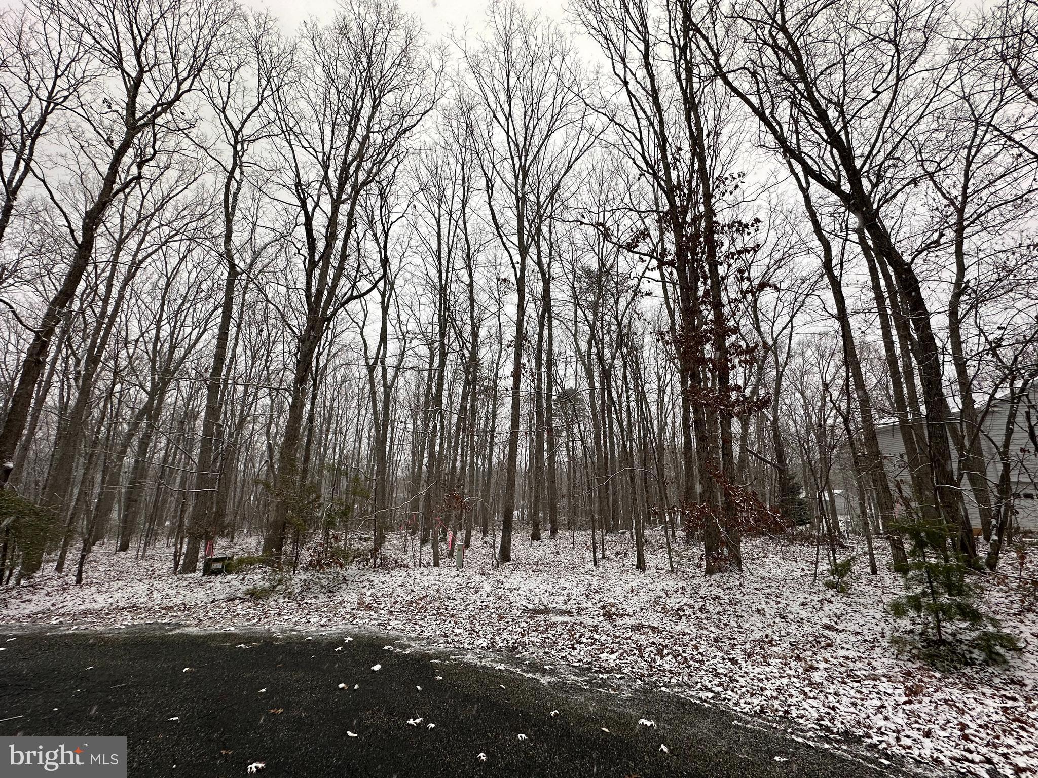 LAKESHORE WOODS - Land