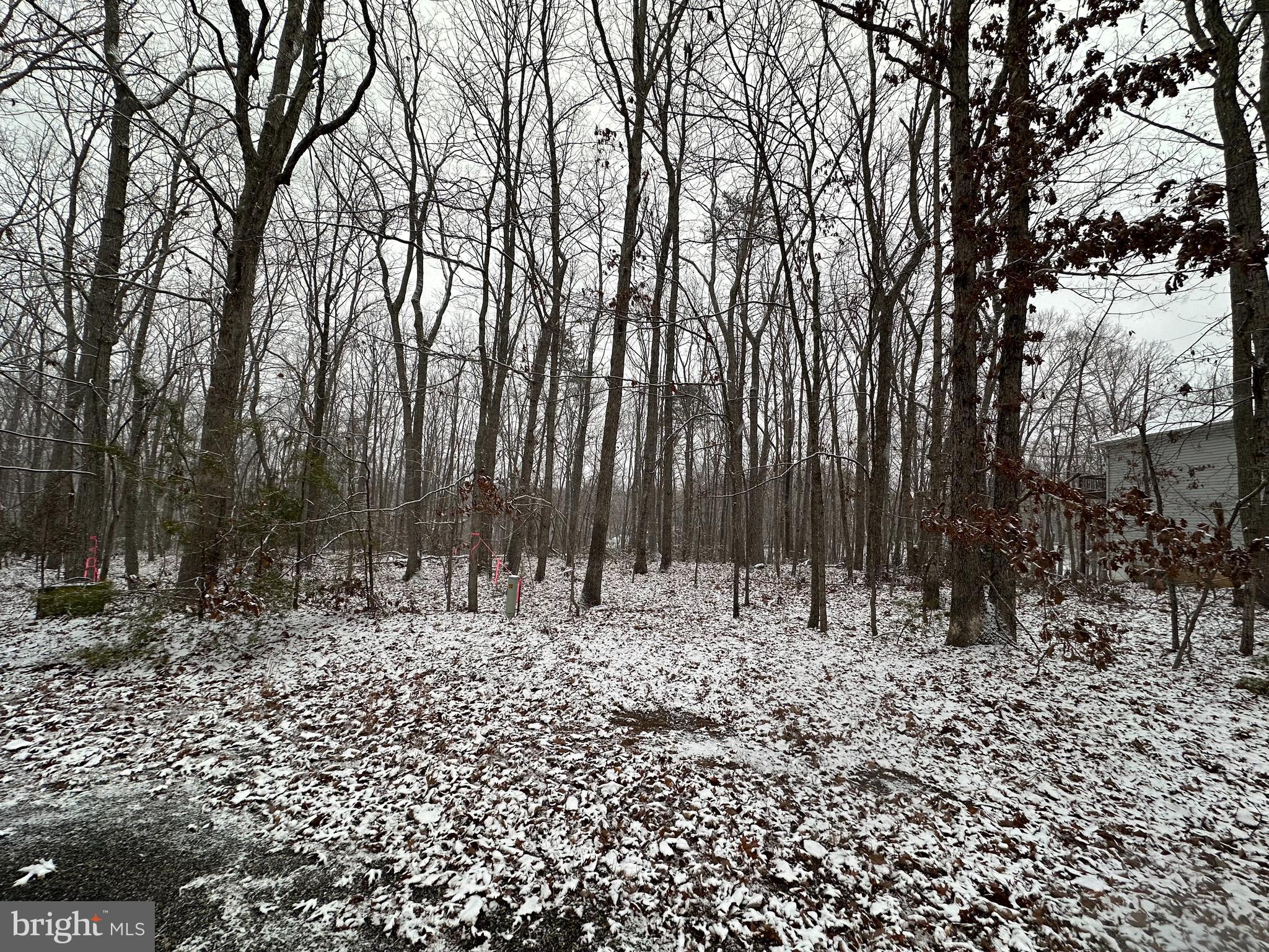 LAKESHORE WOODS - Land