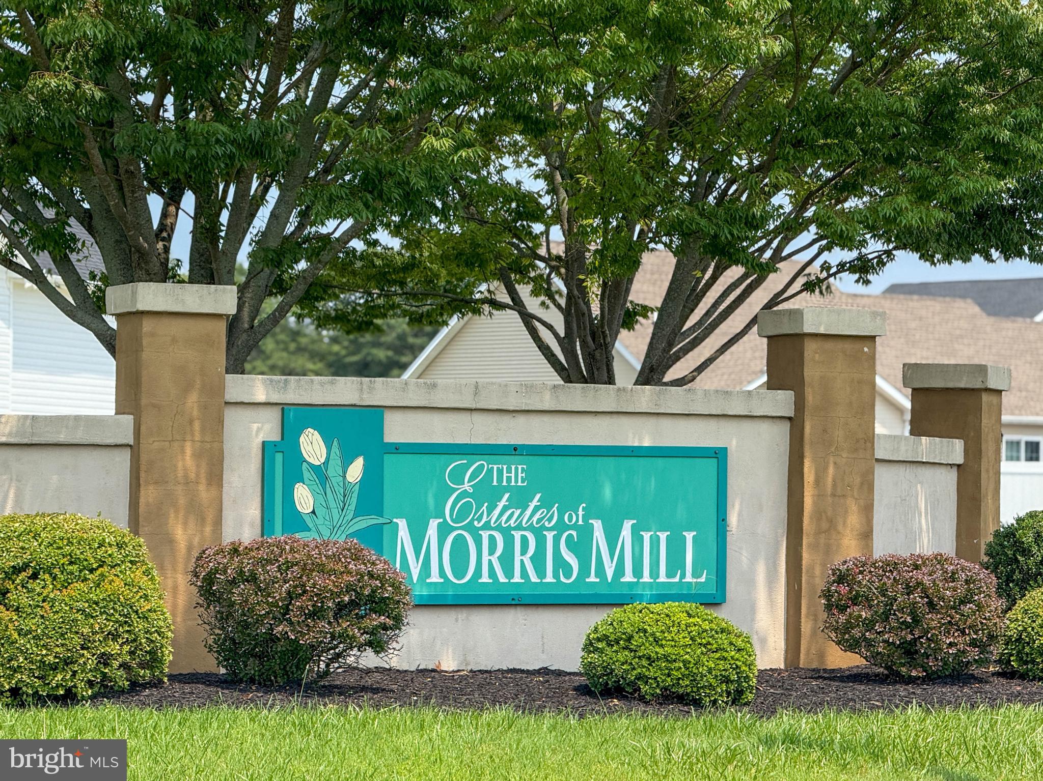 ESTATES OF MORRIS MILL - Residential