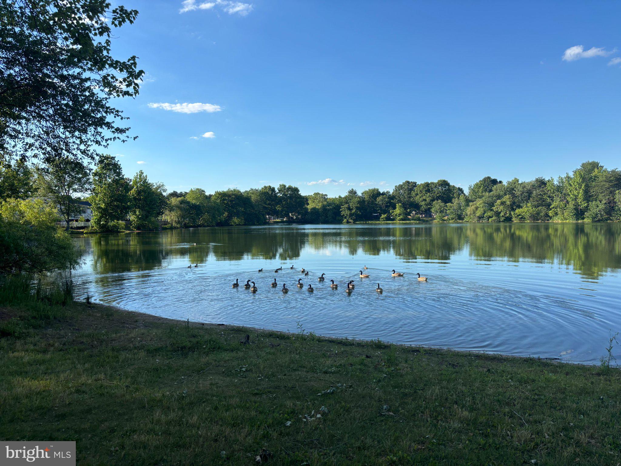 HARMANS WOODS - Residential