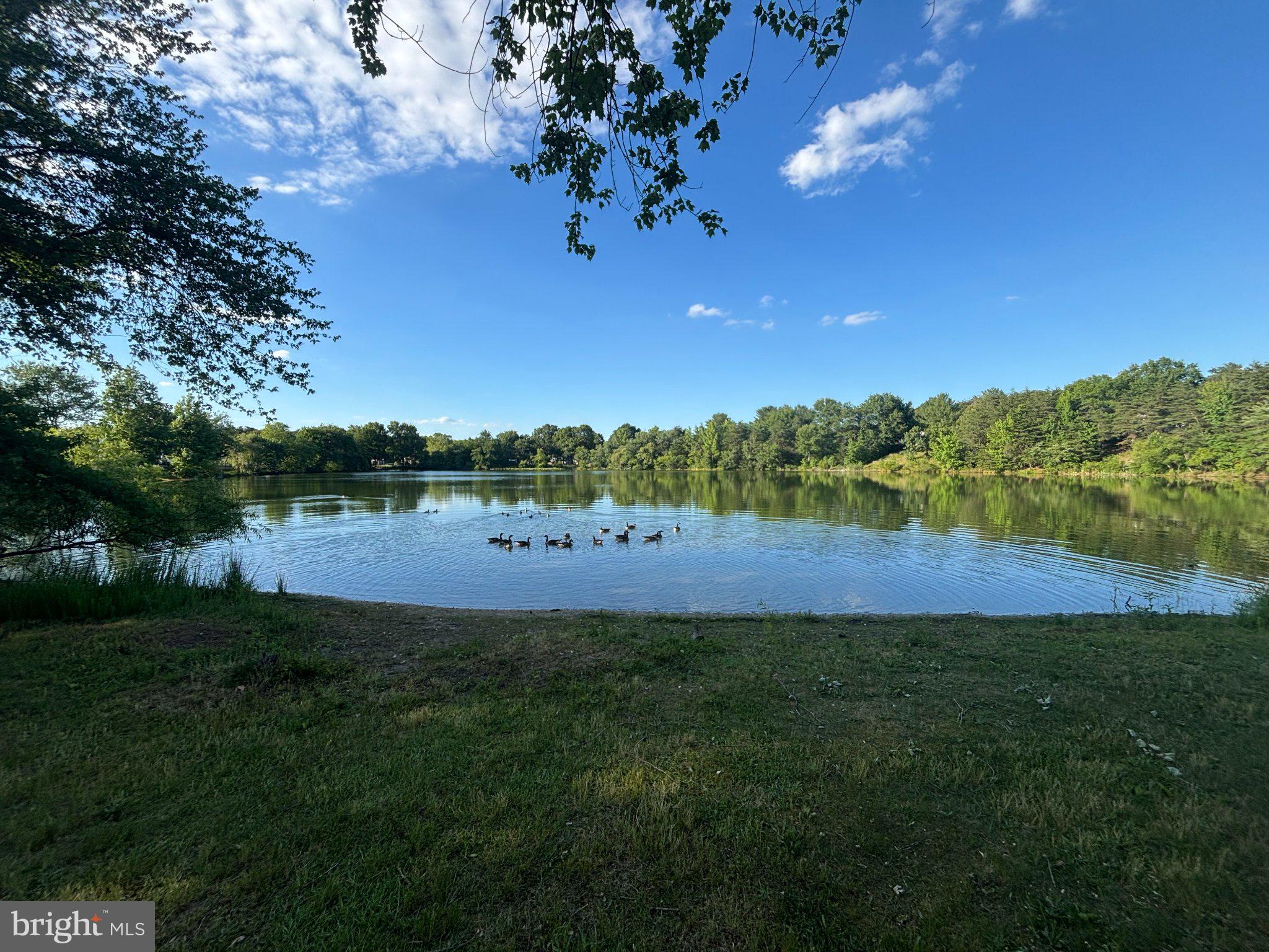 HARMANS WOODS - Residential