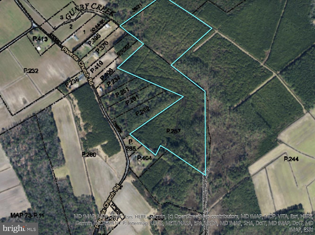 Discover 32.62 acres of prime hunting land in Marion Station, perfect for deer and turkey enthusiasts. This serene property boasts lush greenery, mature trees, and diverse ecosystems, providing a natural haven for wildlife. Ideal for a secluded retreat, it offers ample space for hunting stands and recreational activities like ATV riding, hiking, and camping. Embrace the outdoors and make this your ultimate hunting paradise!
