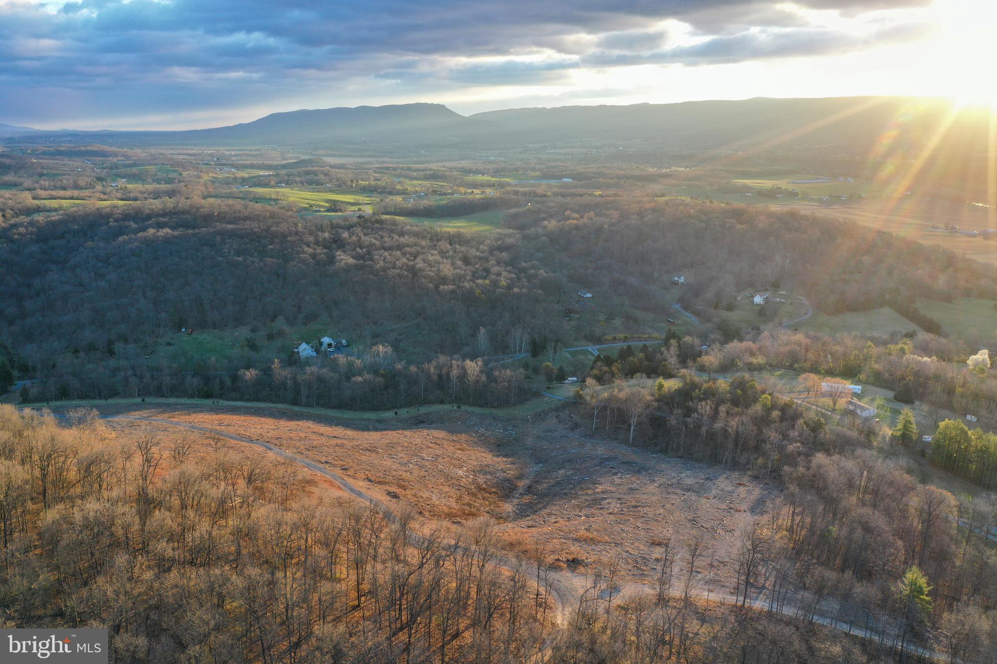 They are not making more land, especially like this parcel.  Stunning expansive mountain views offering captivating sunrises adn sunsets.   Situate and build your home in the best location to enmoy the panoramic views.   This 16.3 ac. division was divided off a 253 ac. parcel known as Thomas Hill on the outskirts of historical New Market Virginia.   Fantastic location just a few minutes to I-81 for easy commuting, major shopping within 5 minutes, easy drives to outdoor activities, Appalachian Trail, Shenandoah River, well known fishing ponds & creeks, two four season resorts within 30 minutes, Washington DC is only 113 miles and the list goes on.. New Market town offers extensive events and things for families such as Movie in the Park and Crossroads Music Festival for starters.   The land was divided and perked in 2024.  Seller will have final division with county so property will have its own tax map # along with thoughtful deed restrictions in order to maintain the integrity of this beautiful parcel.     
The land had been cleared but there were 650 Loblolly pines per acre planted in March 2024.  The new owner will be able to remove the small plantings in the areas a home and yard will be, which is another advantage to you owning this property, a canvas ready for you to design.   
Take advantage of a rare opportunity to own this property that is truly a jewel in the heart of the beautiful Shenandoa Valley of Virginia.  Reach out to your agent or if not represented. ALL SHOWINGS MUST be scheduled and a licensed real estate agent must be present with all parties.  When previewing the land, showings are limited to the land for sale, not the other land around it.   Call today to schedule