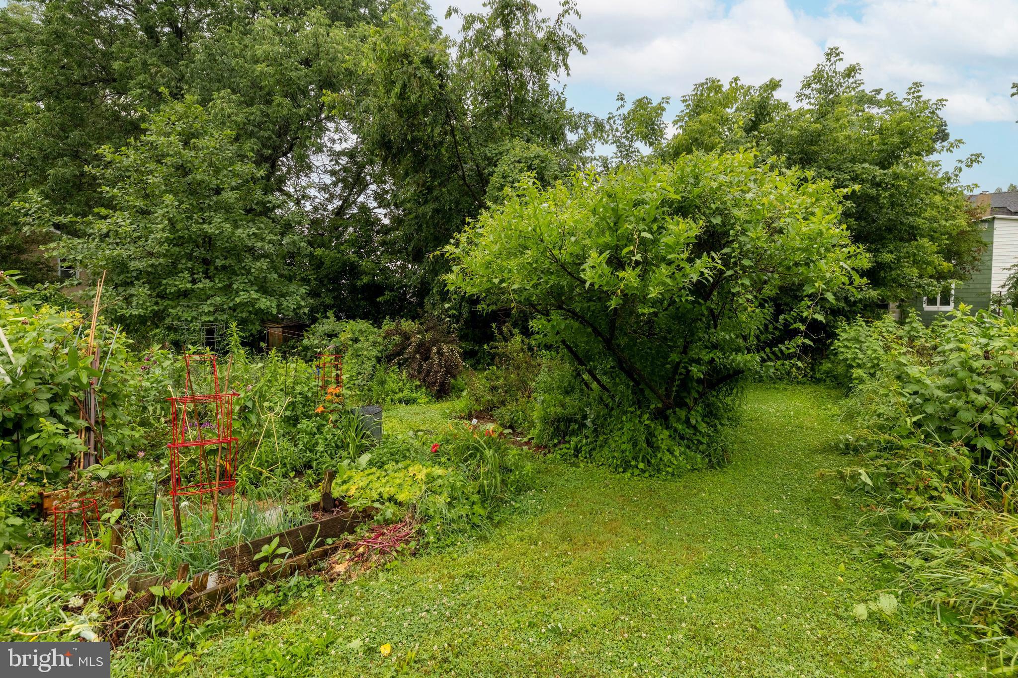 WYNDMOOR - Residential Income