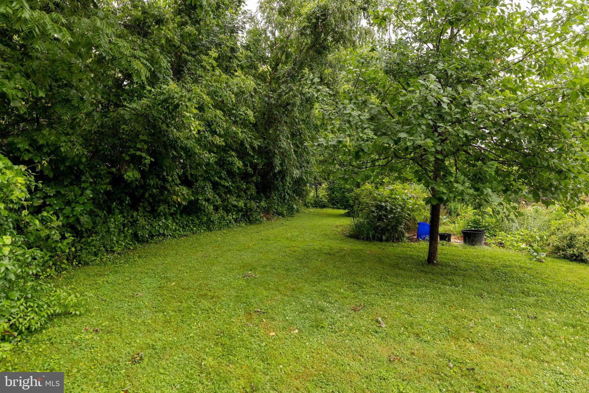 WYNDMOOR - Residential Income