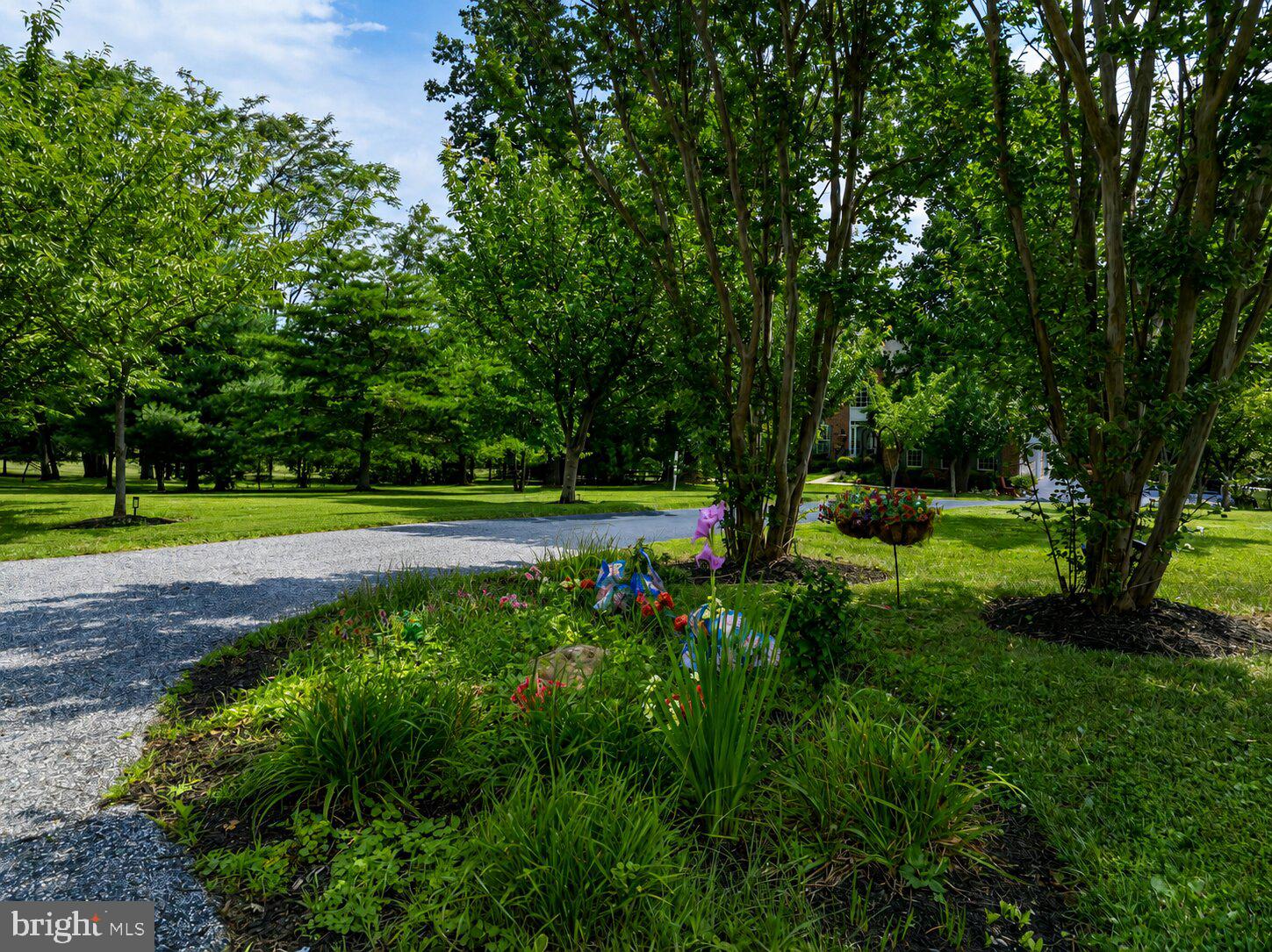 JONATHANS DELIGHT - Residential