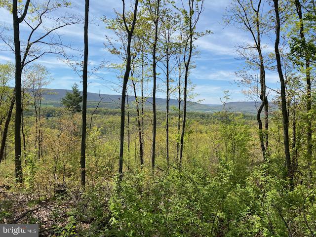 WEST PROVIDENCE TOWNSHIP - Residential