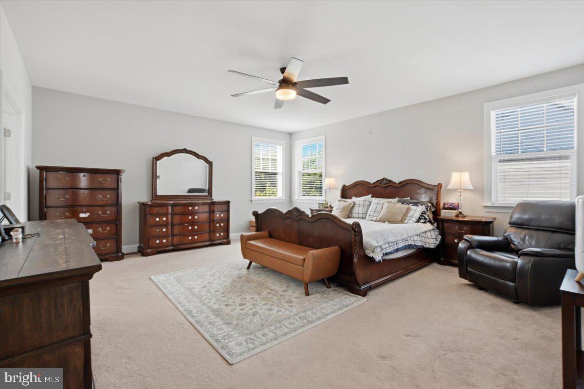GROVE AT WILLOWSFORD - Residential