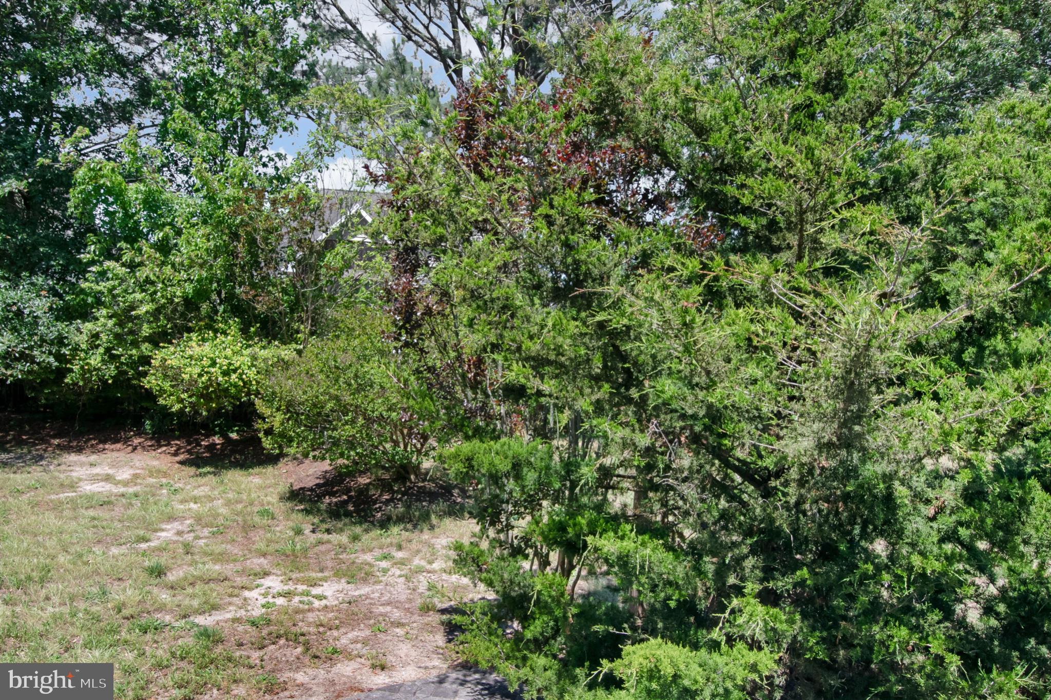 BETHANY MEADOWS - Residential