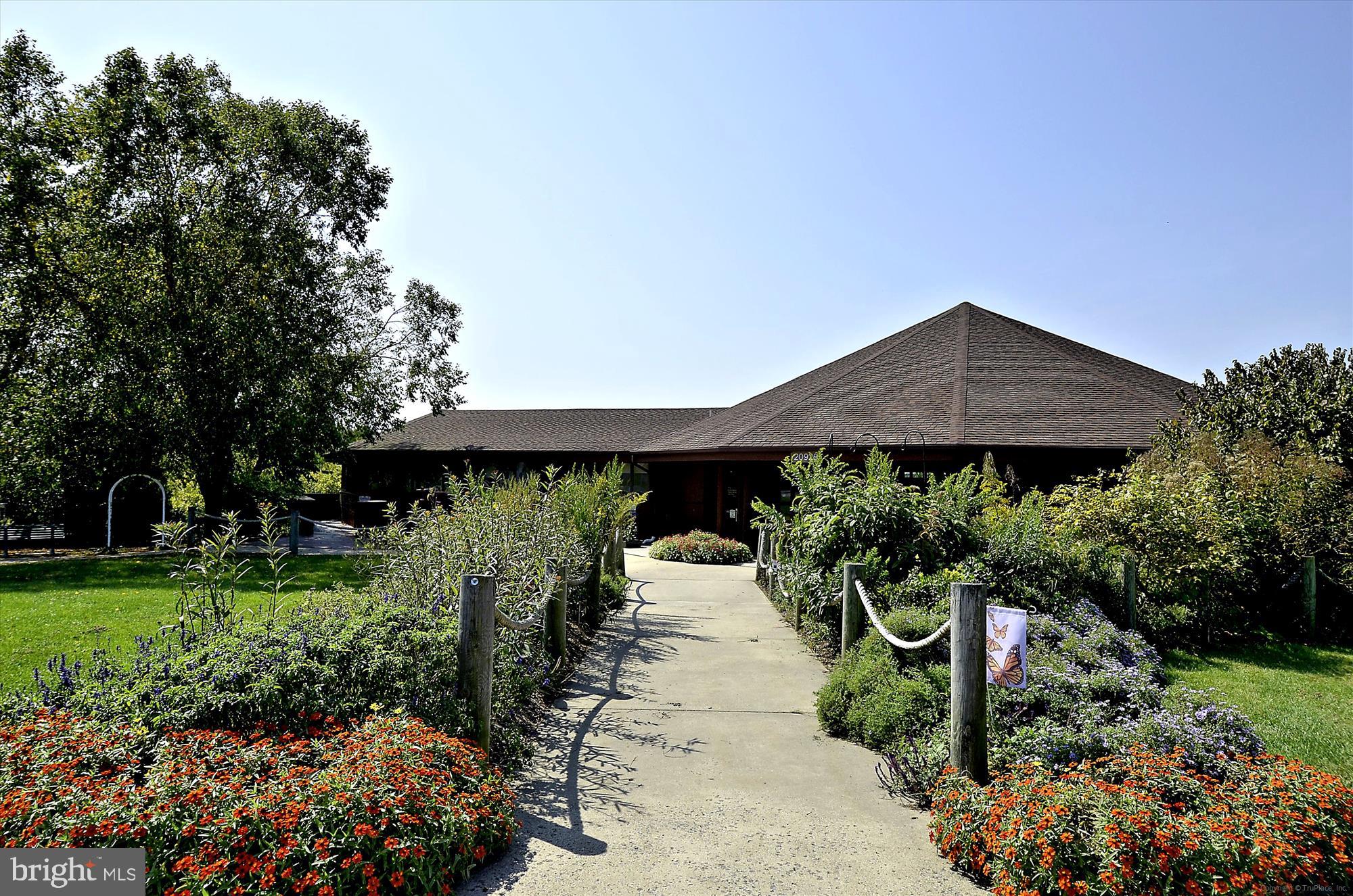 CABIN BRANCH - Residential