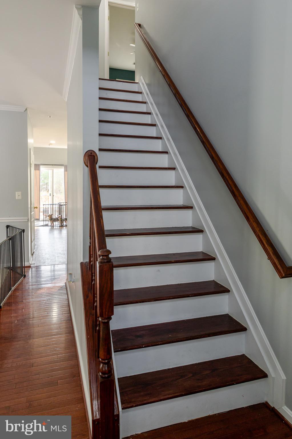CHADDS FORD LANDING - Residential